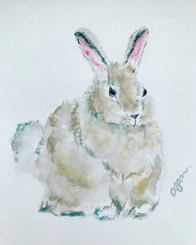 Rabbit 2 
watercolor