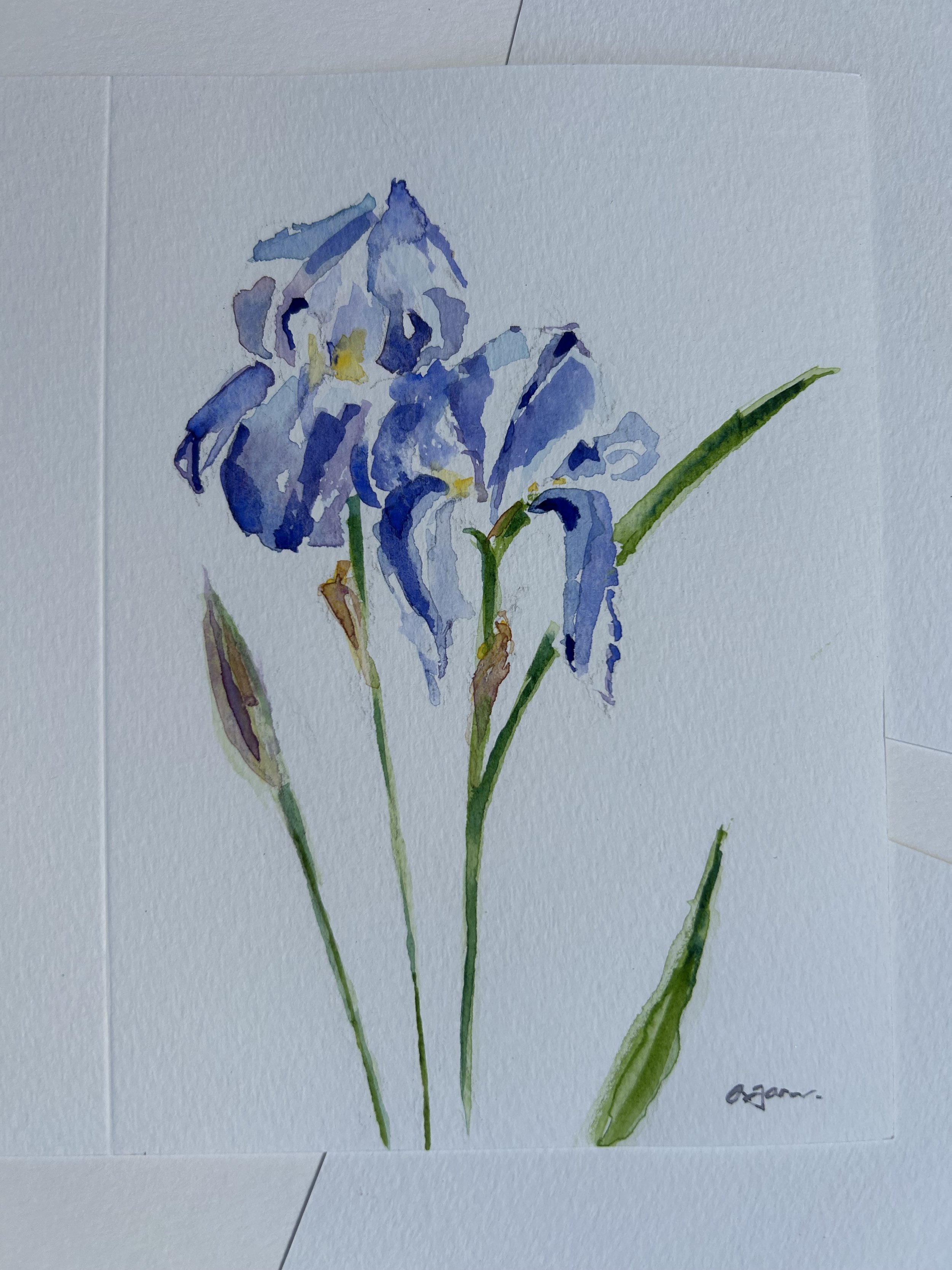 watercolor card iris .jpeg