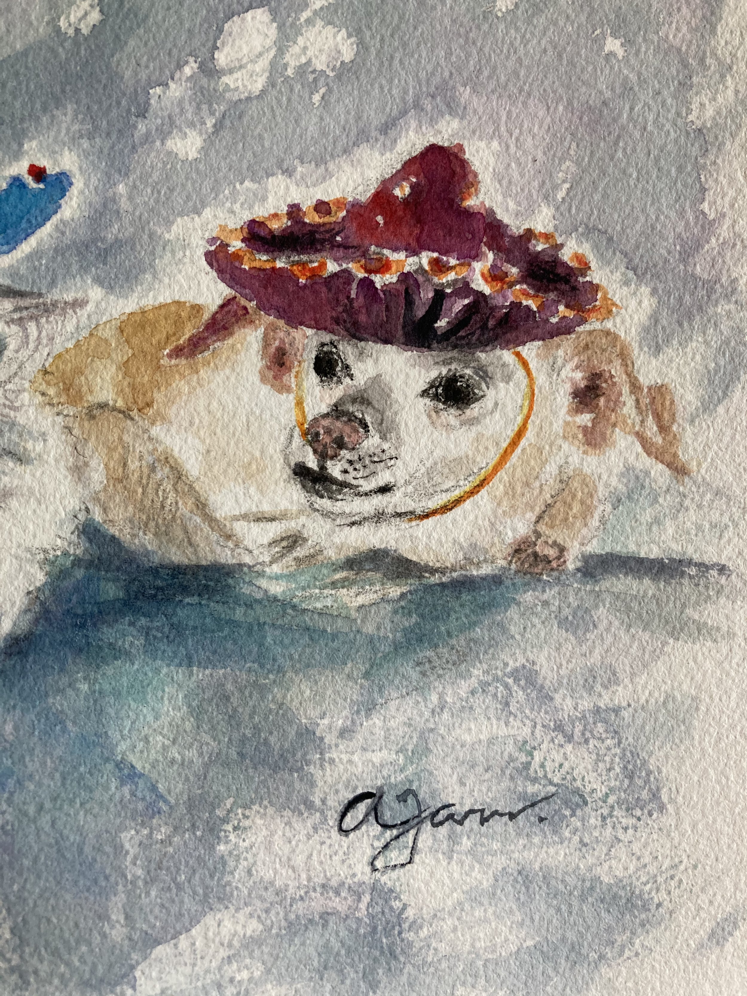 Dog in sombrero 
watercolor by request