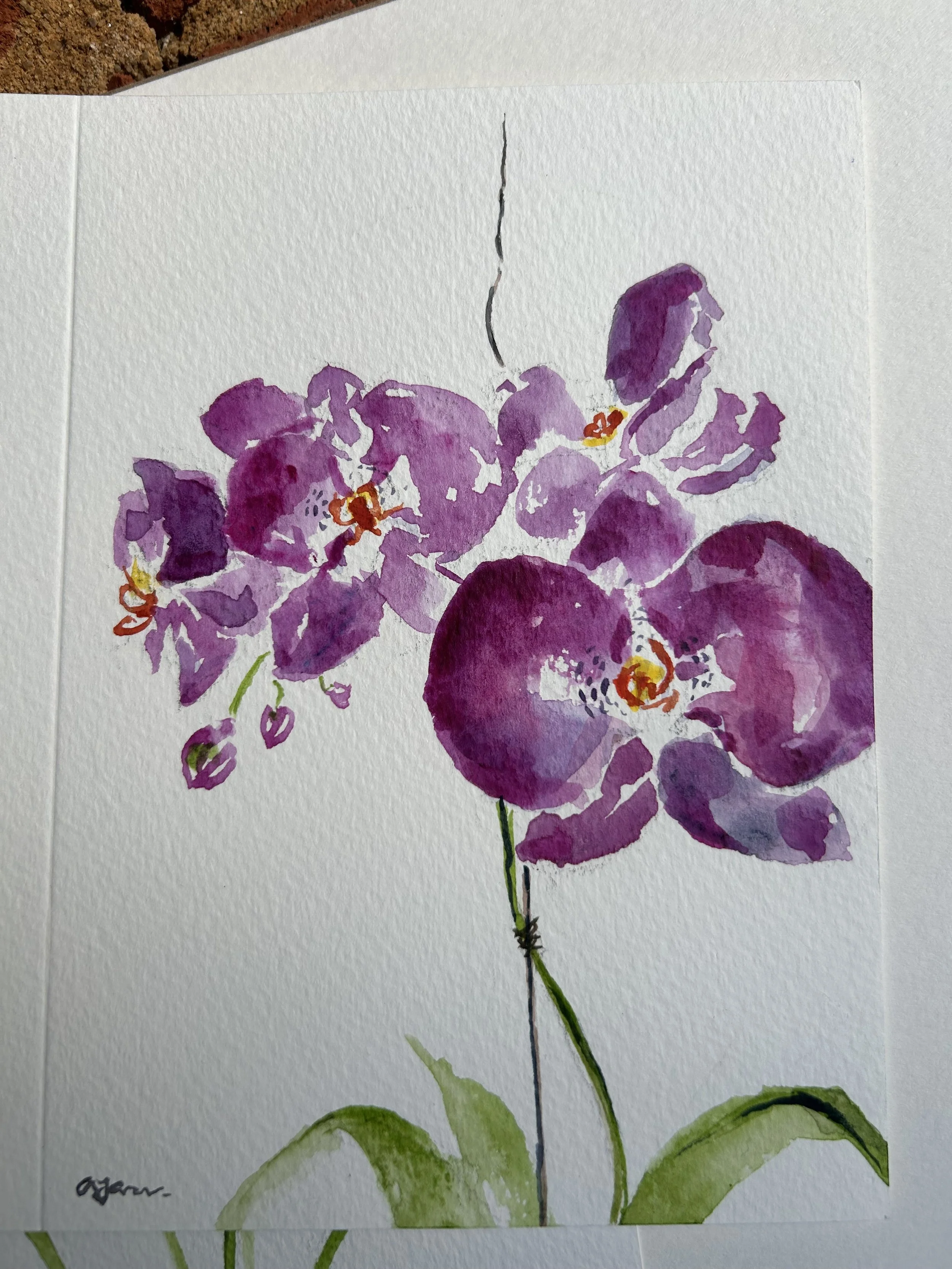 watercolor card orchid purple.jpeg