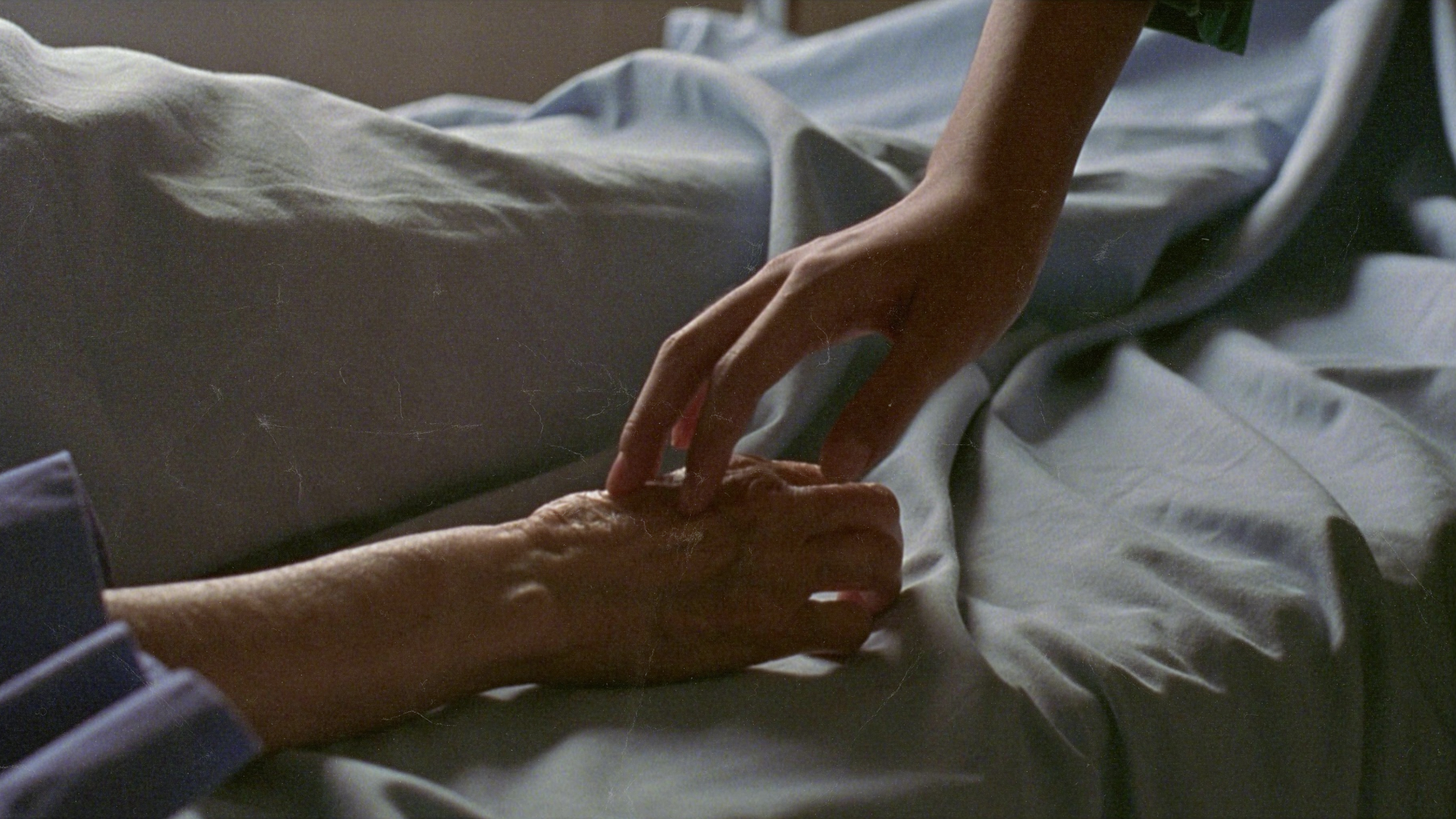 VEILS - in SALT AND SHAME STYLE-2.png