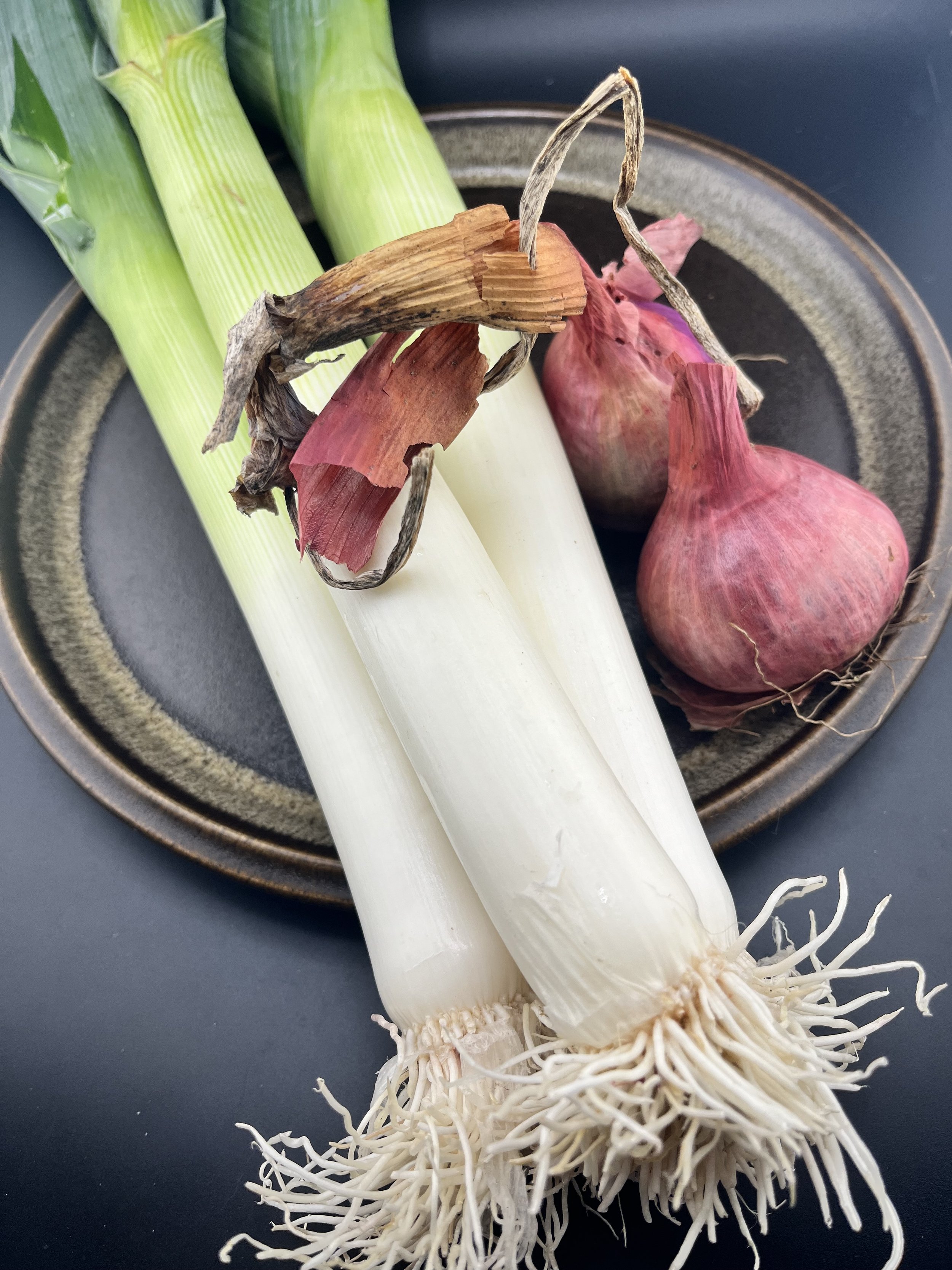 IMG_0302 braised leeks veg.jpeg