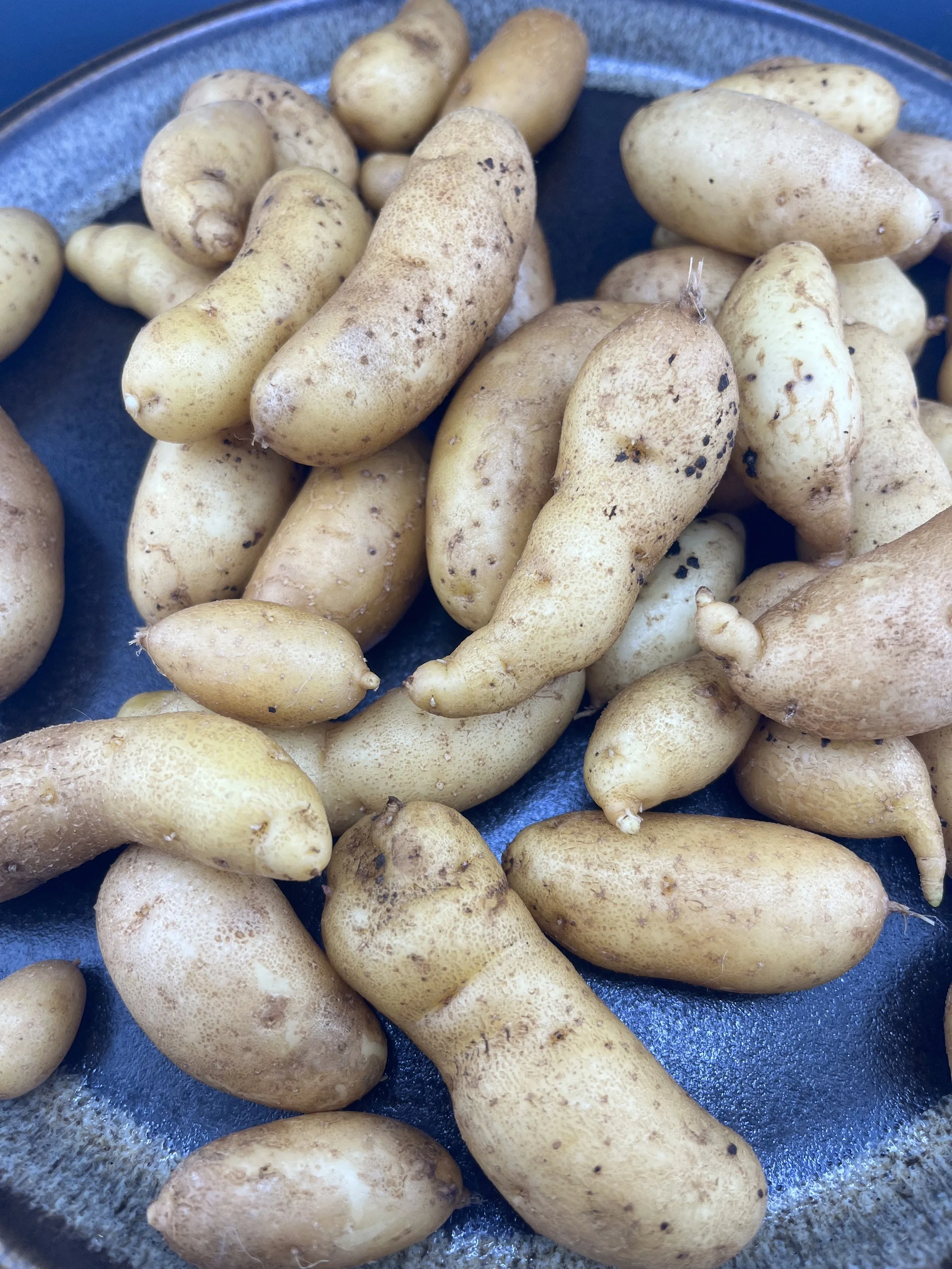 IMG_0137 fingerling potato fries veg.jpg