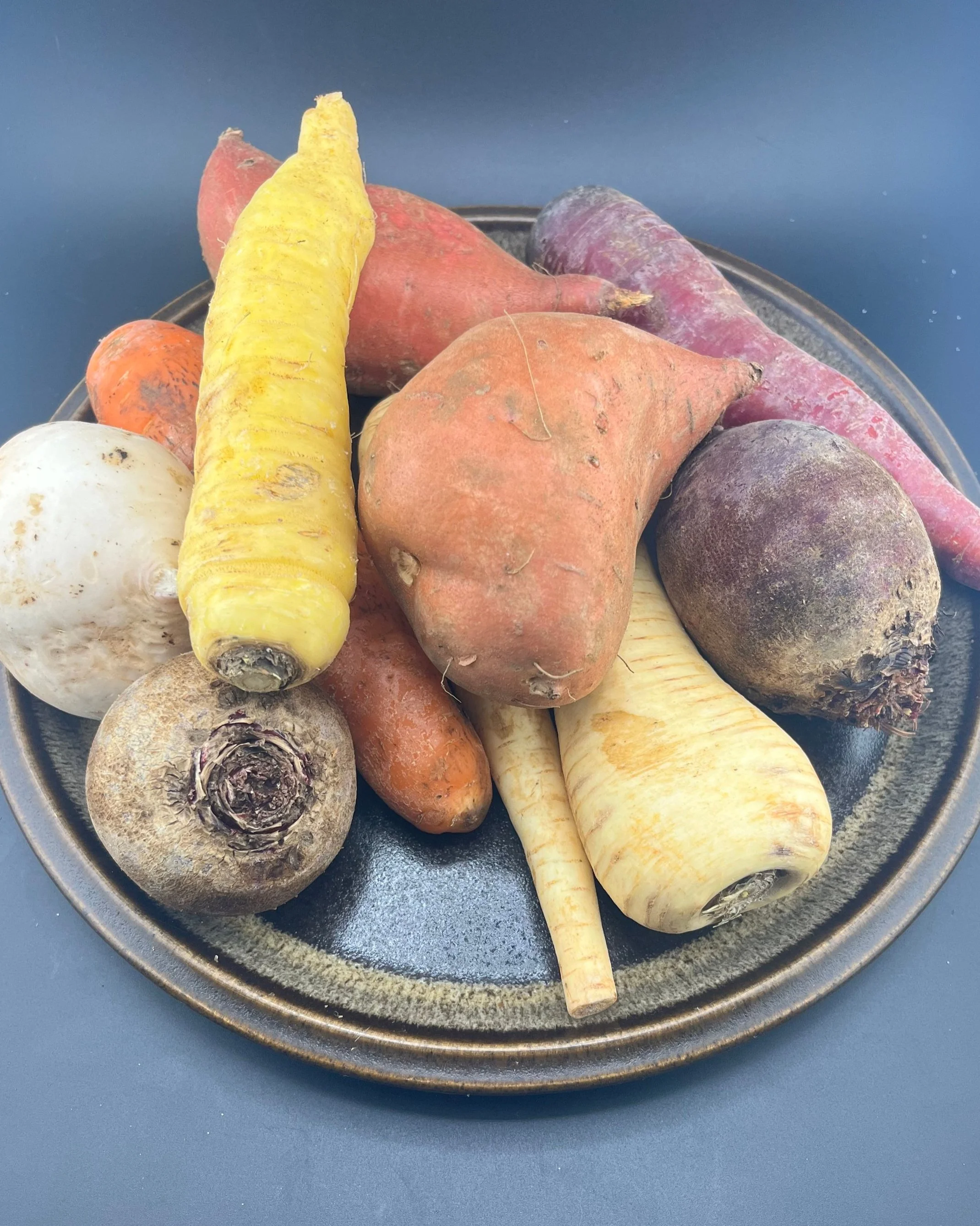 IMG_9086 maple roots.jpg