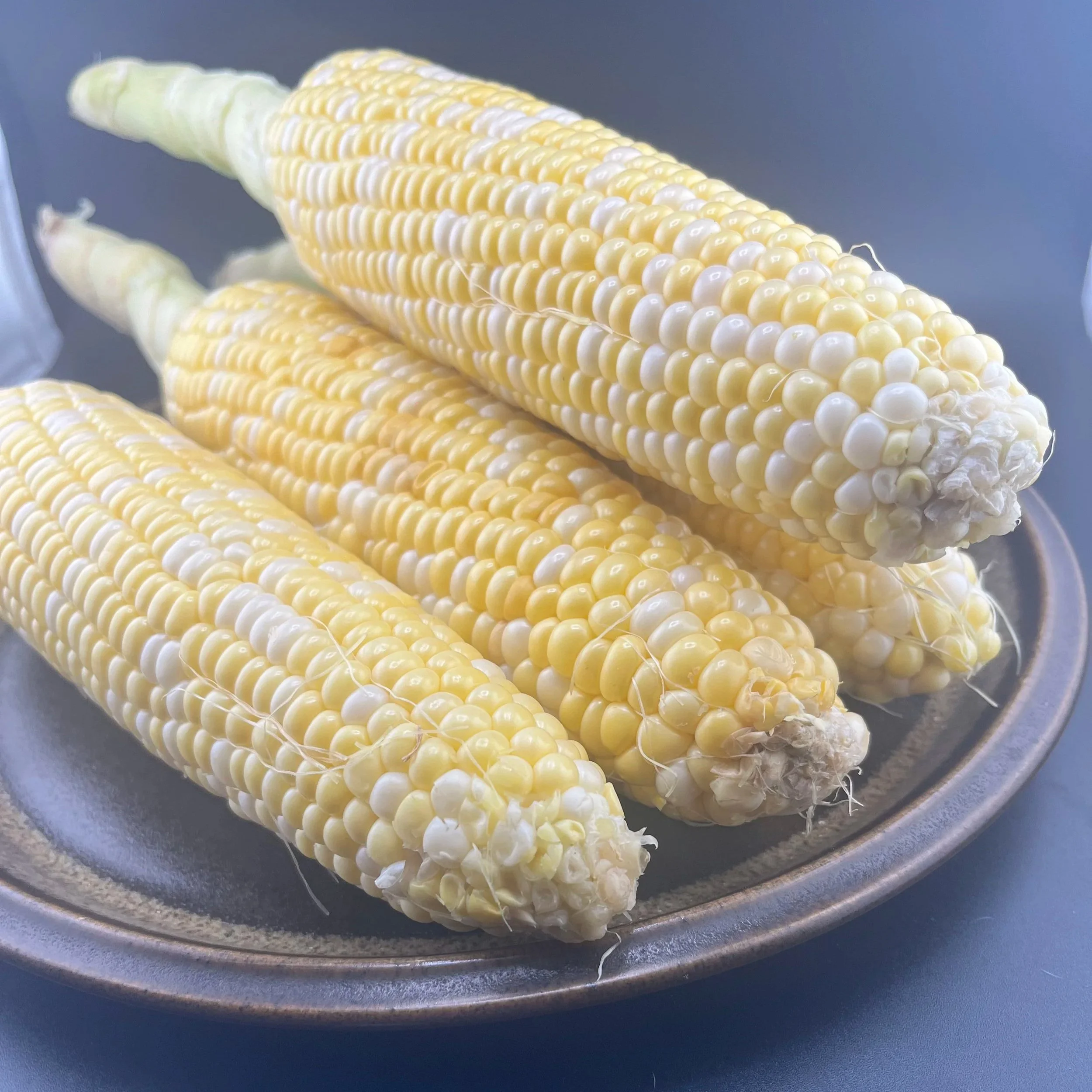 IMG_8033+corn.jpg