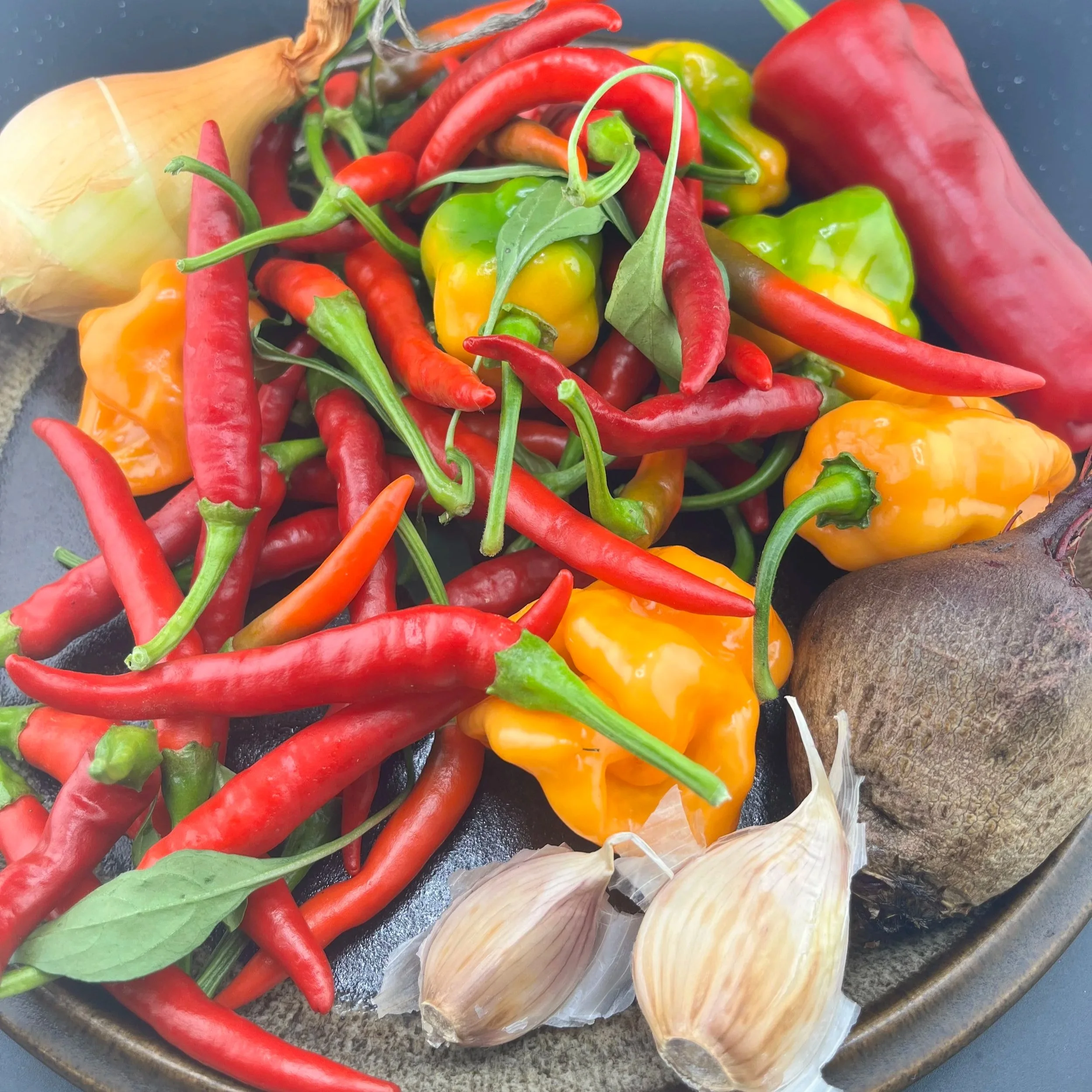 IMG_0107 mixed hot peppers.jpg