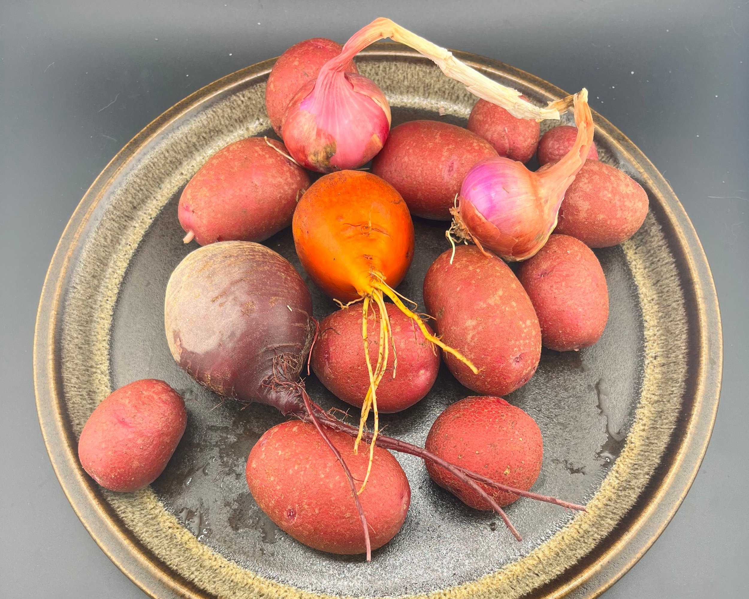 IMG_9849 new potatoes.jpg