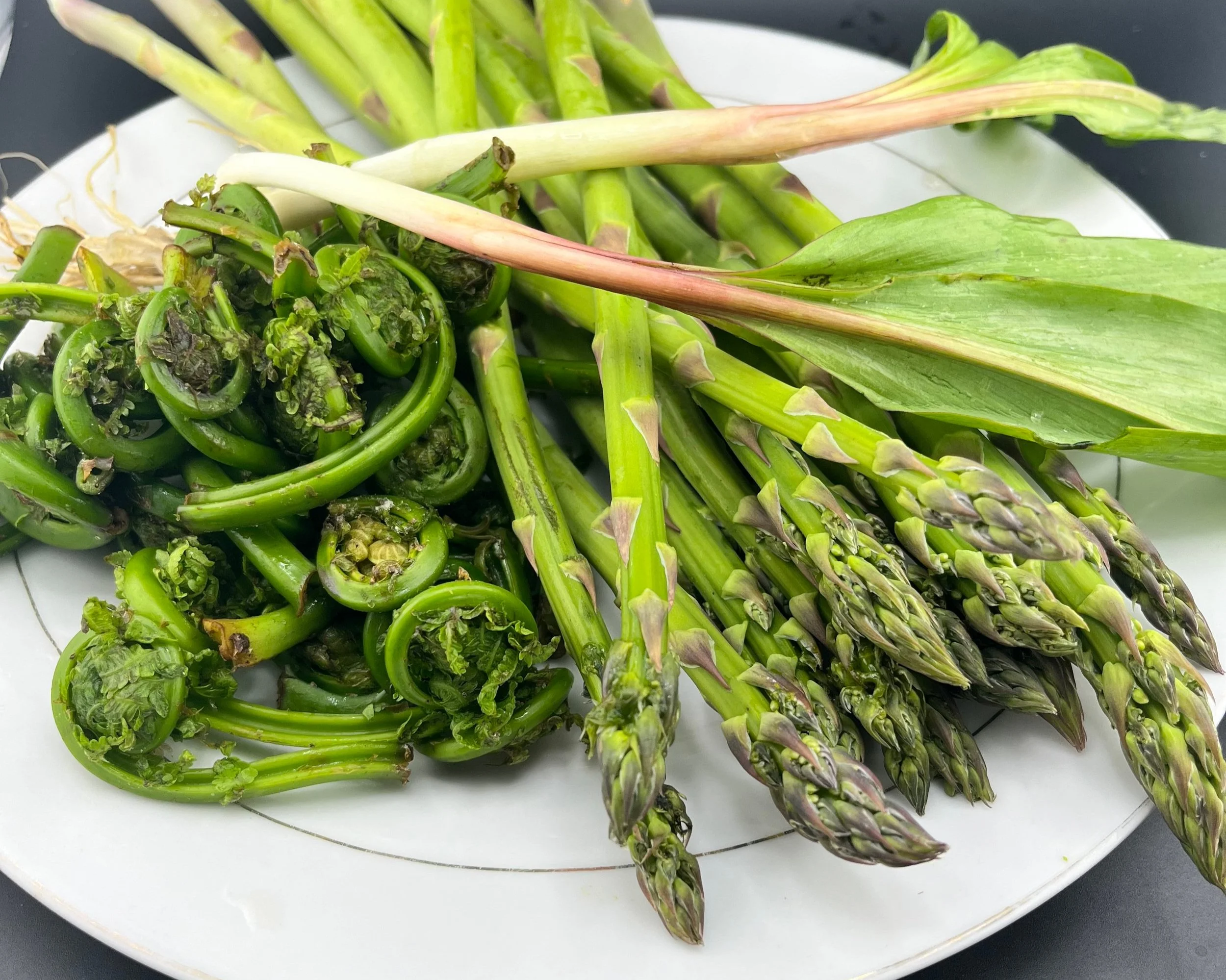 IMG_9427 asparagus fiddleheads.jpg