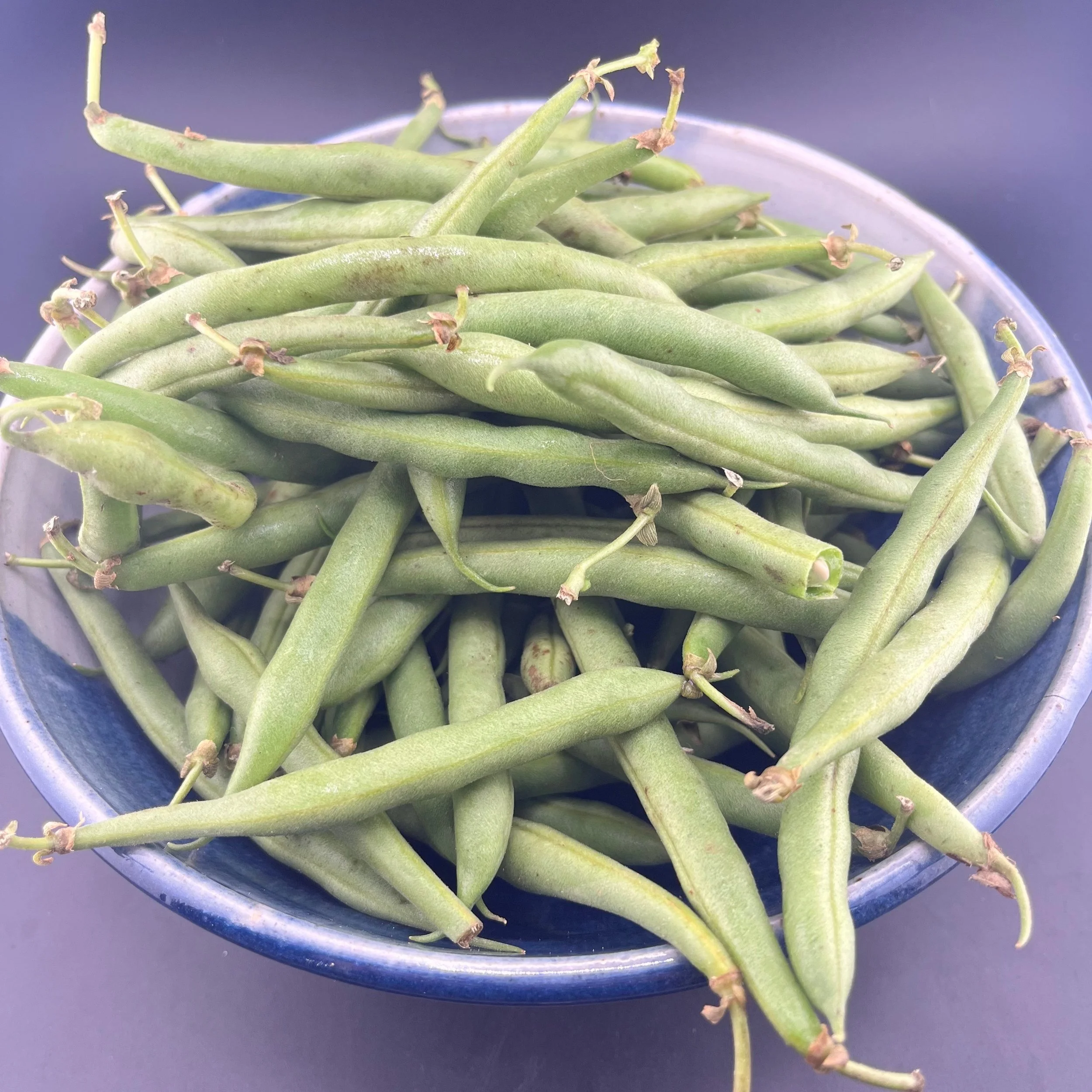 IMG_9815 green beans.jpg