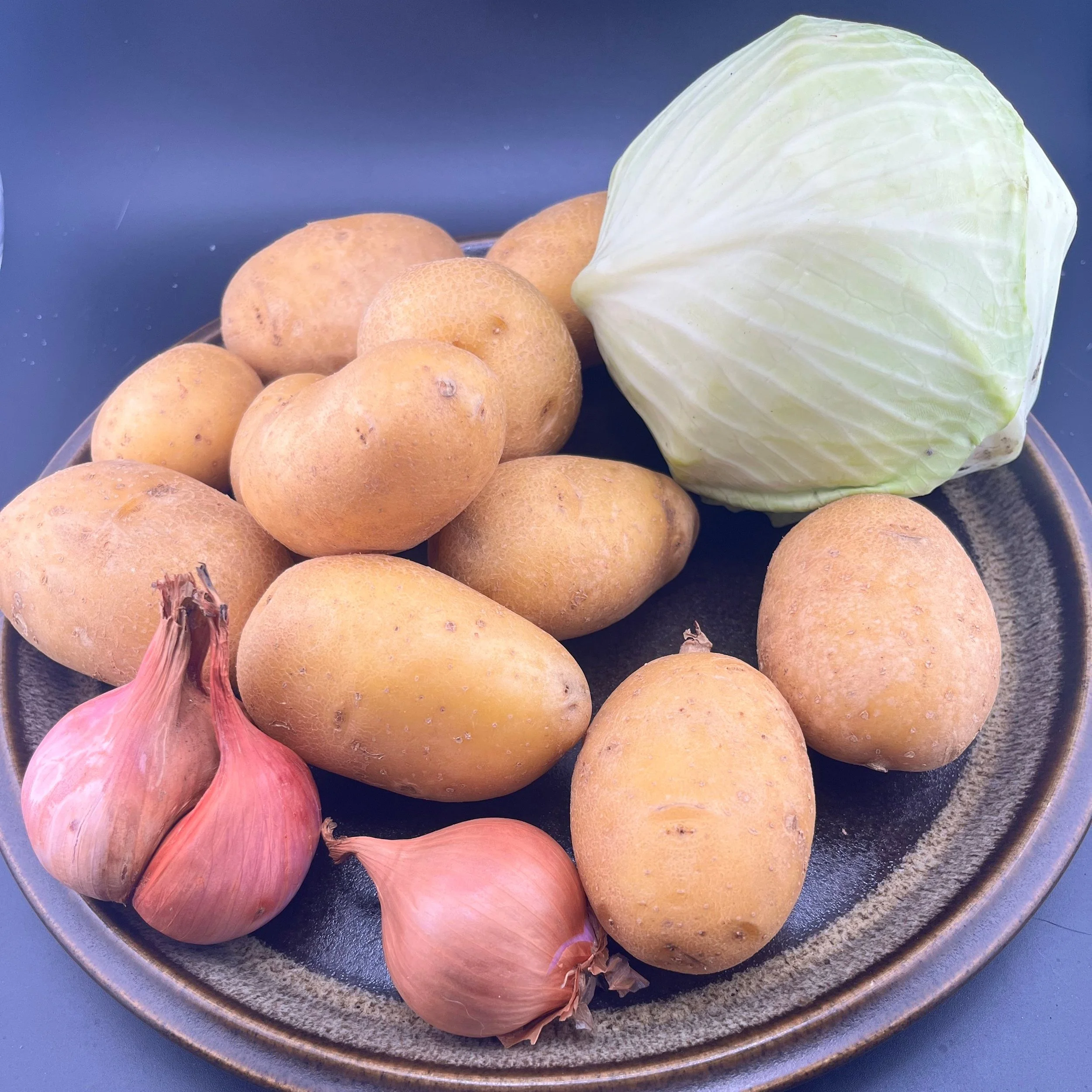 IMG_9126 colecannon.jpg