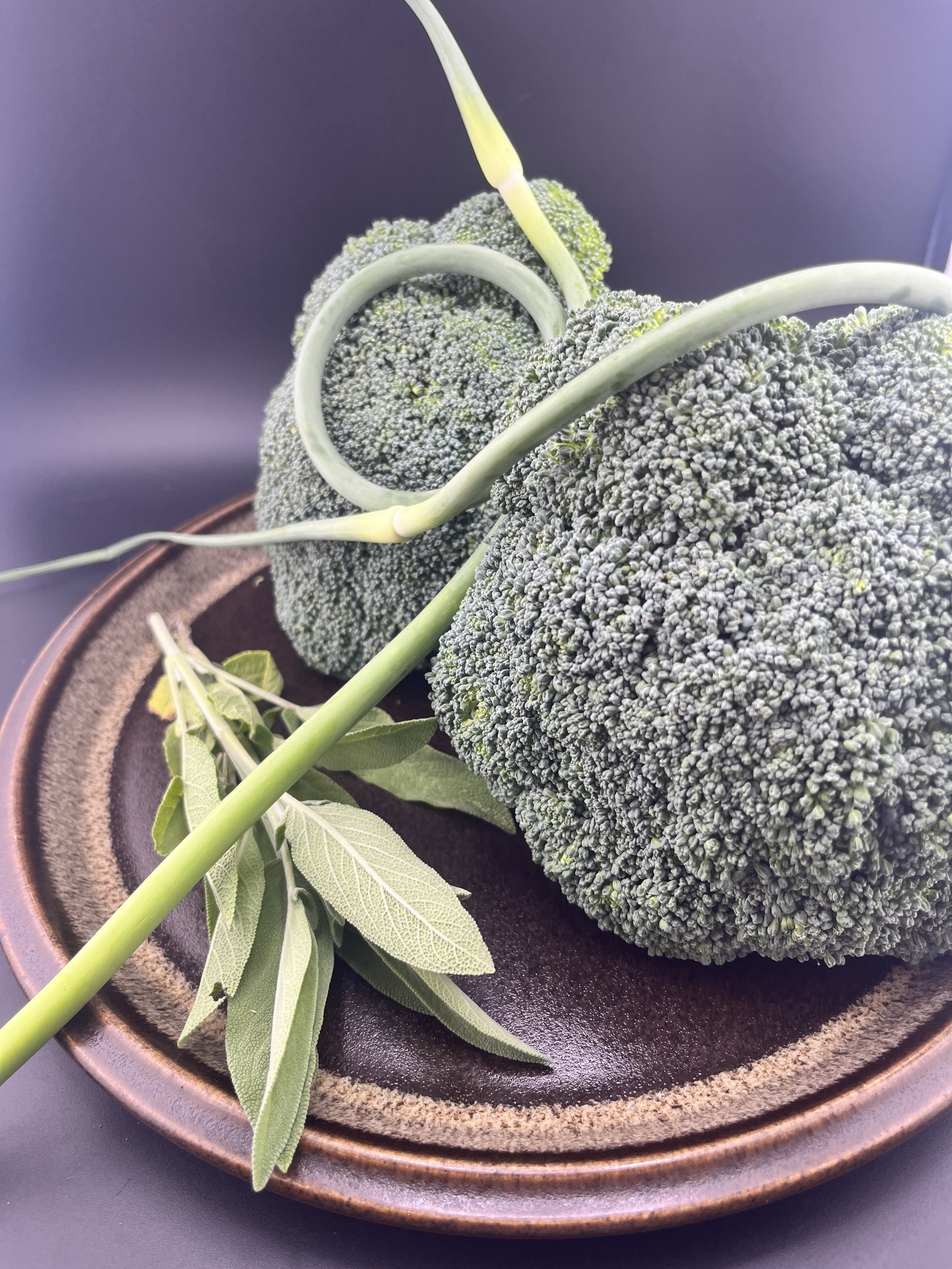 IMG_9710 broccoli.jpg