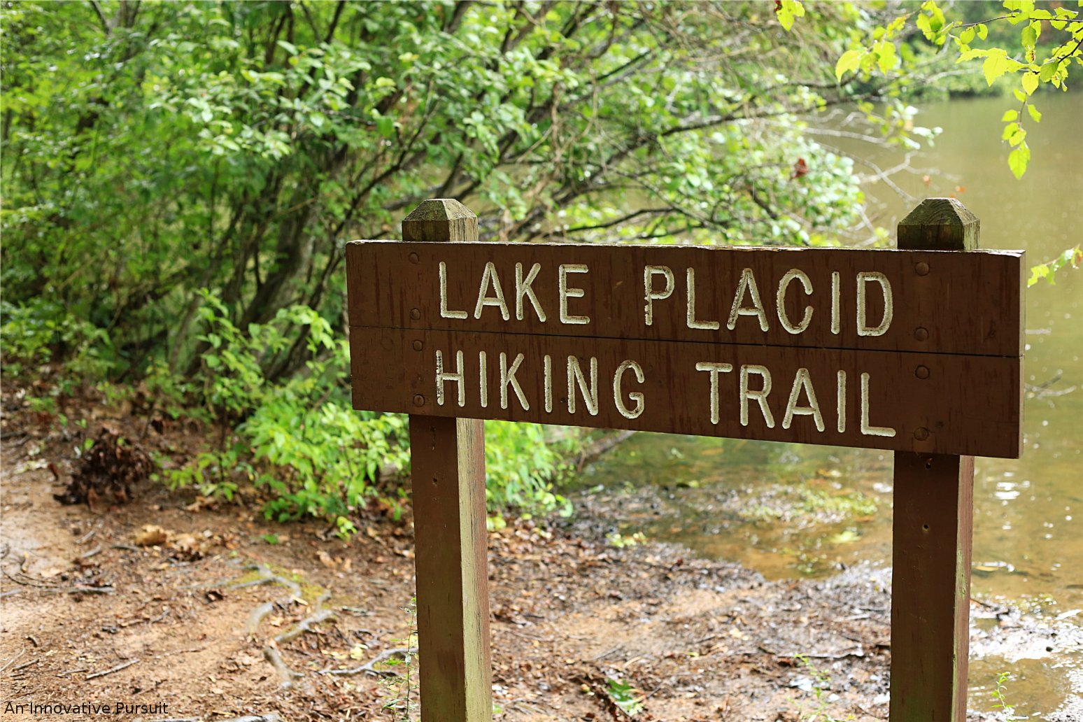 First Day Hike | Paris Mountain State Park
