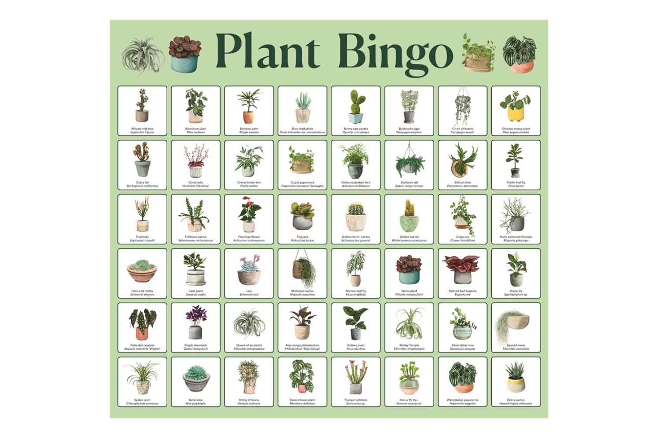 Plant Bingo at Linda Jean Cafe &amp; Cream
