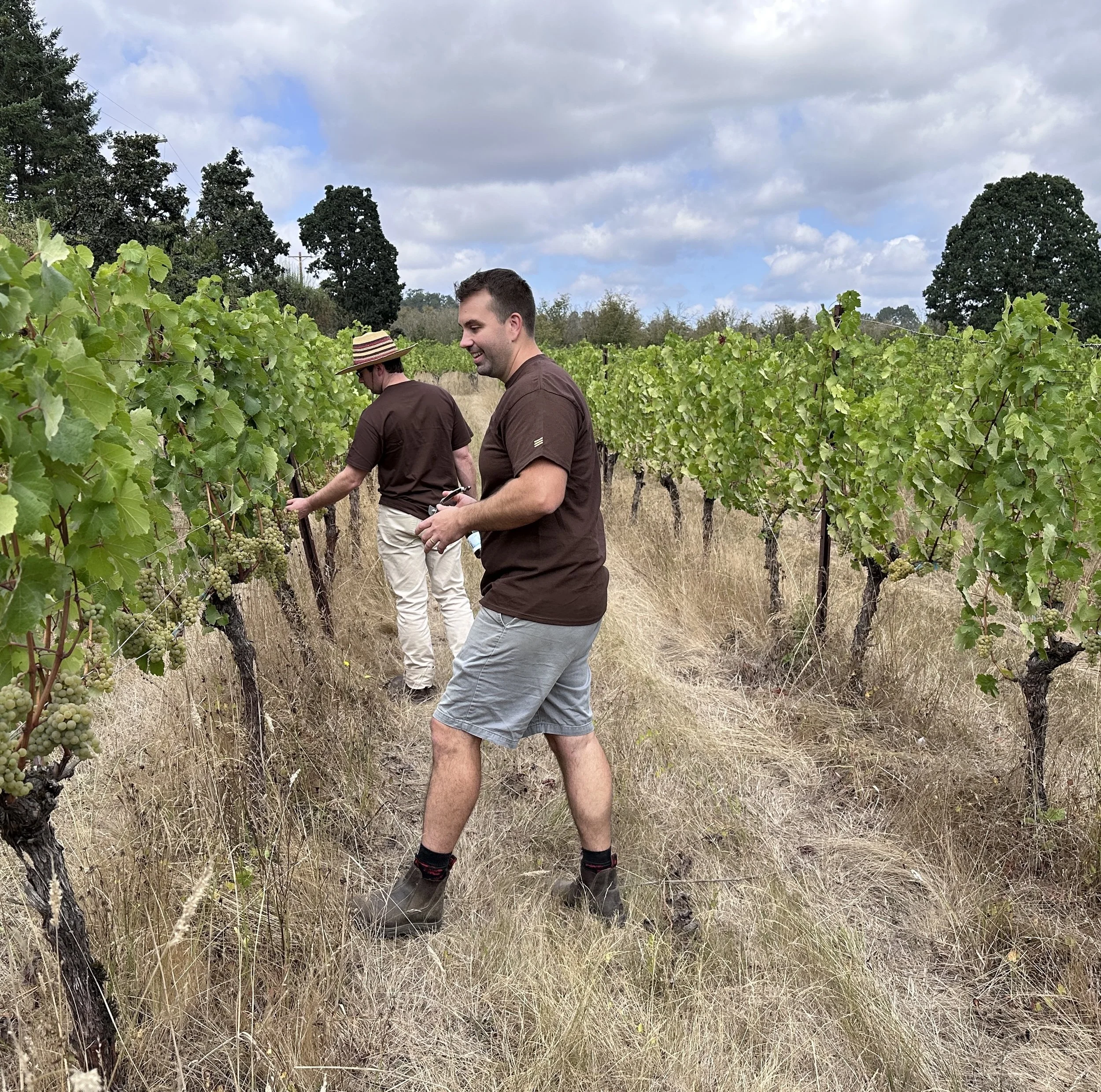 Riesling sampling out in the vineyard with winemaker Paul Johnson

Photographed by Alice Achayo