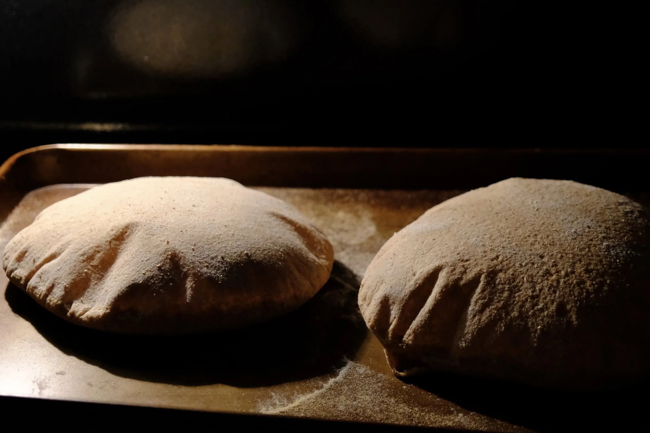 fresh pita