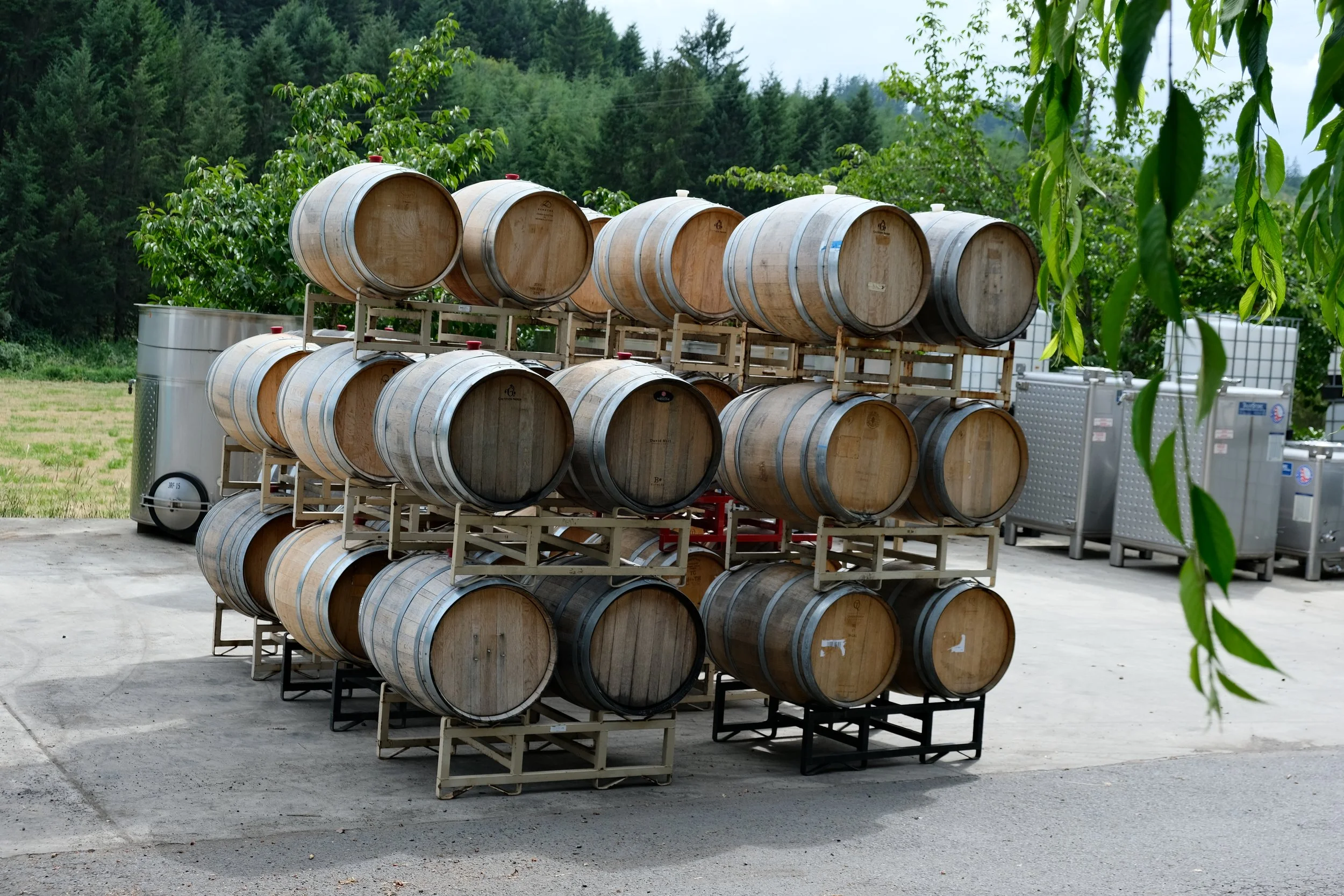 wine barrels stacked outside at Limited Addition Wines

Photographed by Alice Achayo