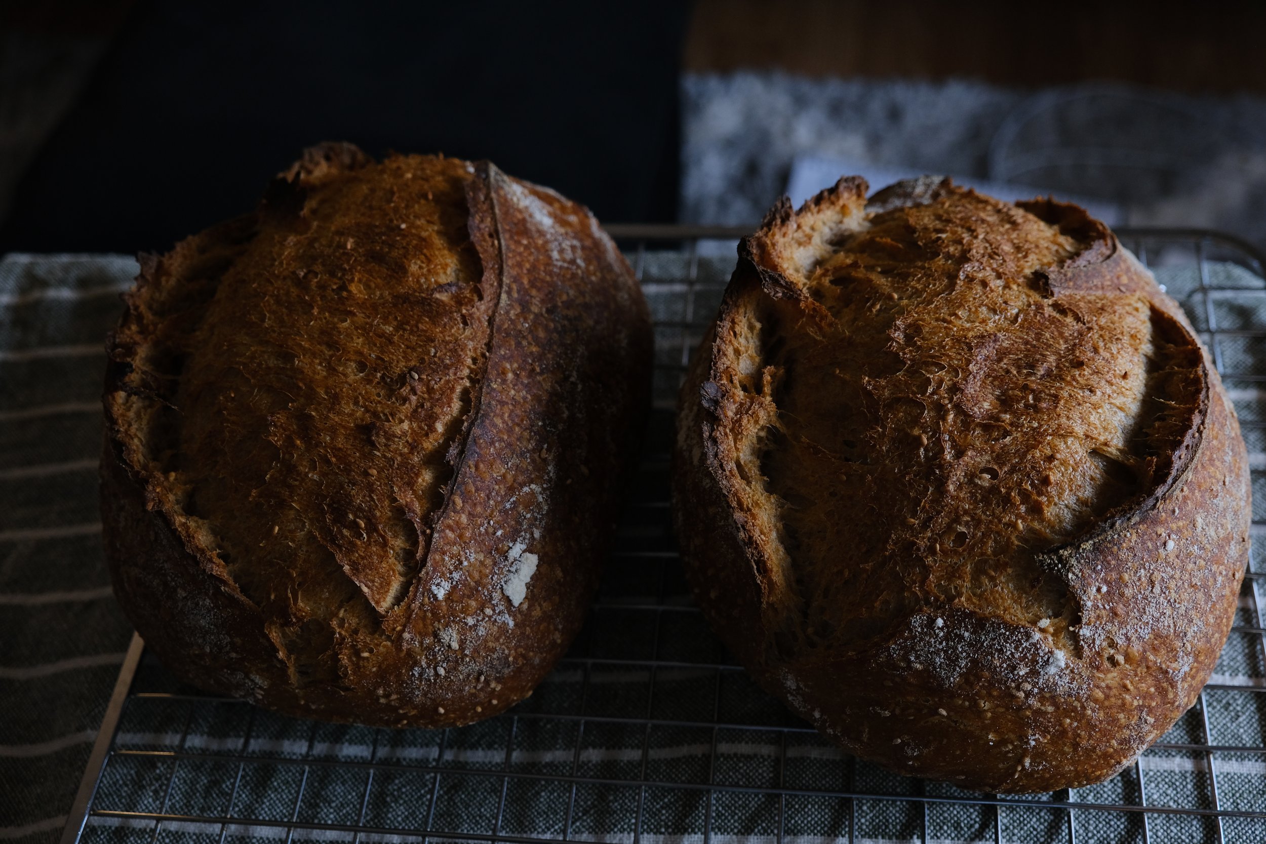 sourdough batards
