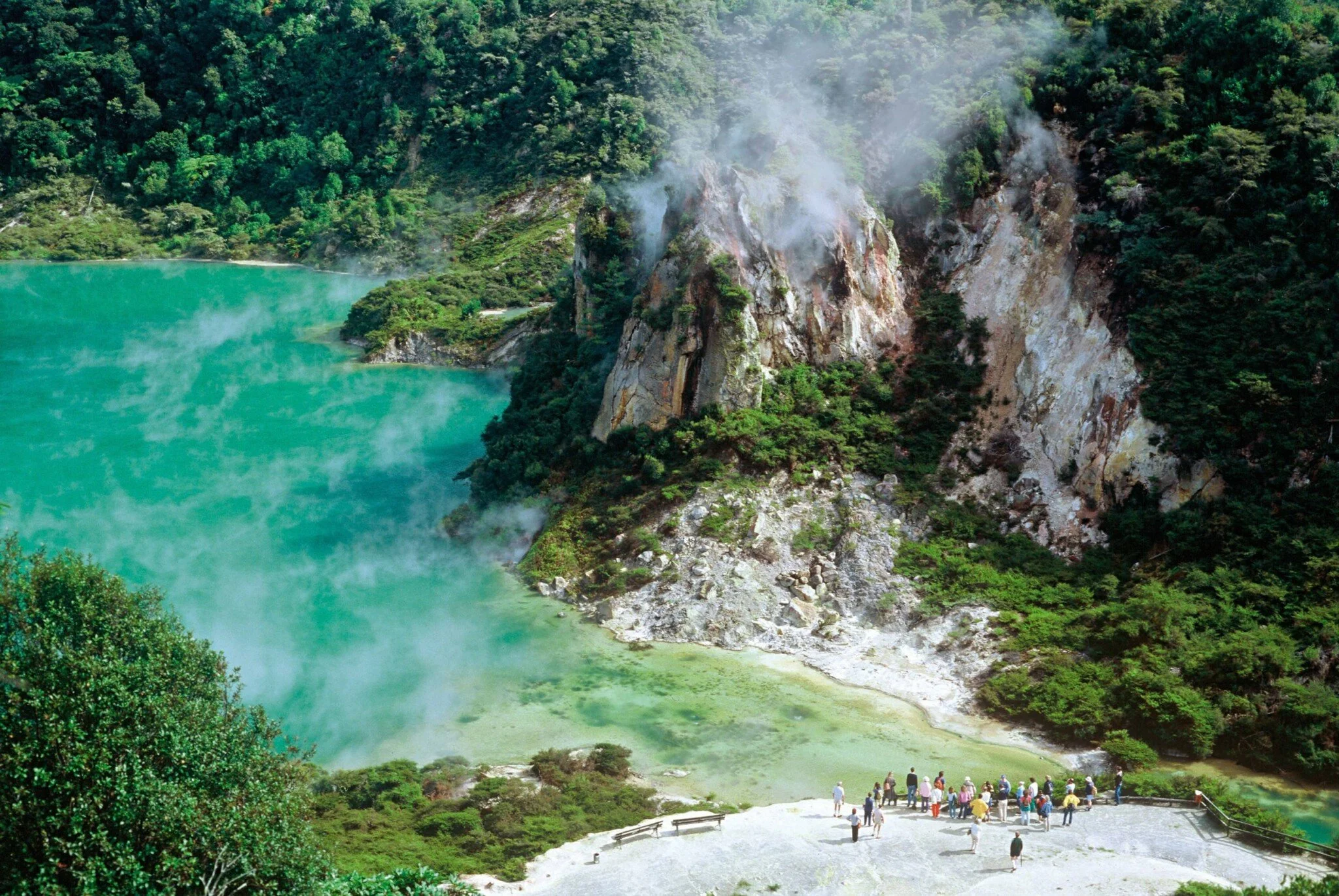 Iwi visit to Waimangu