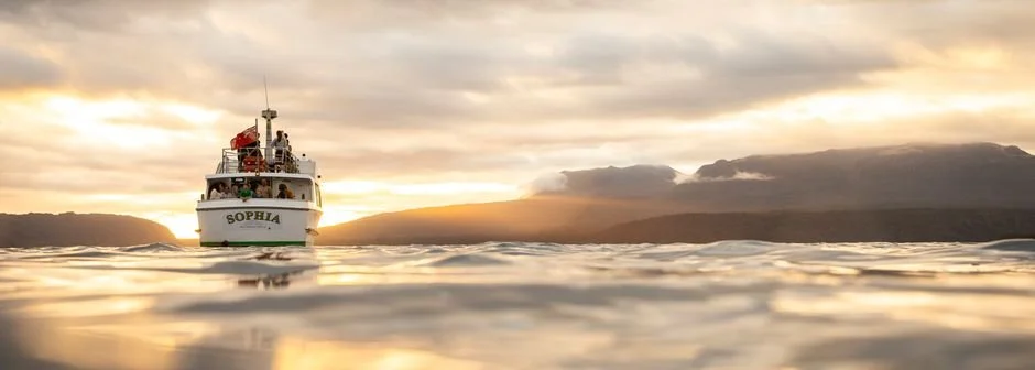 Position Vacancy: Waimangu General Manager 