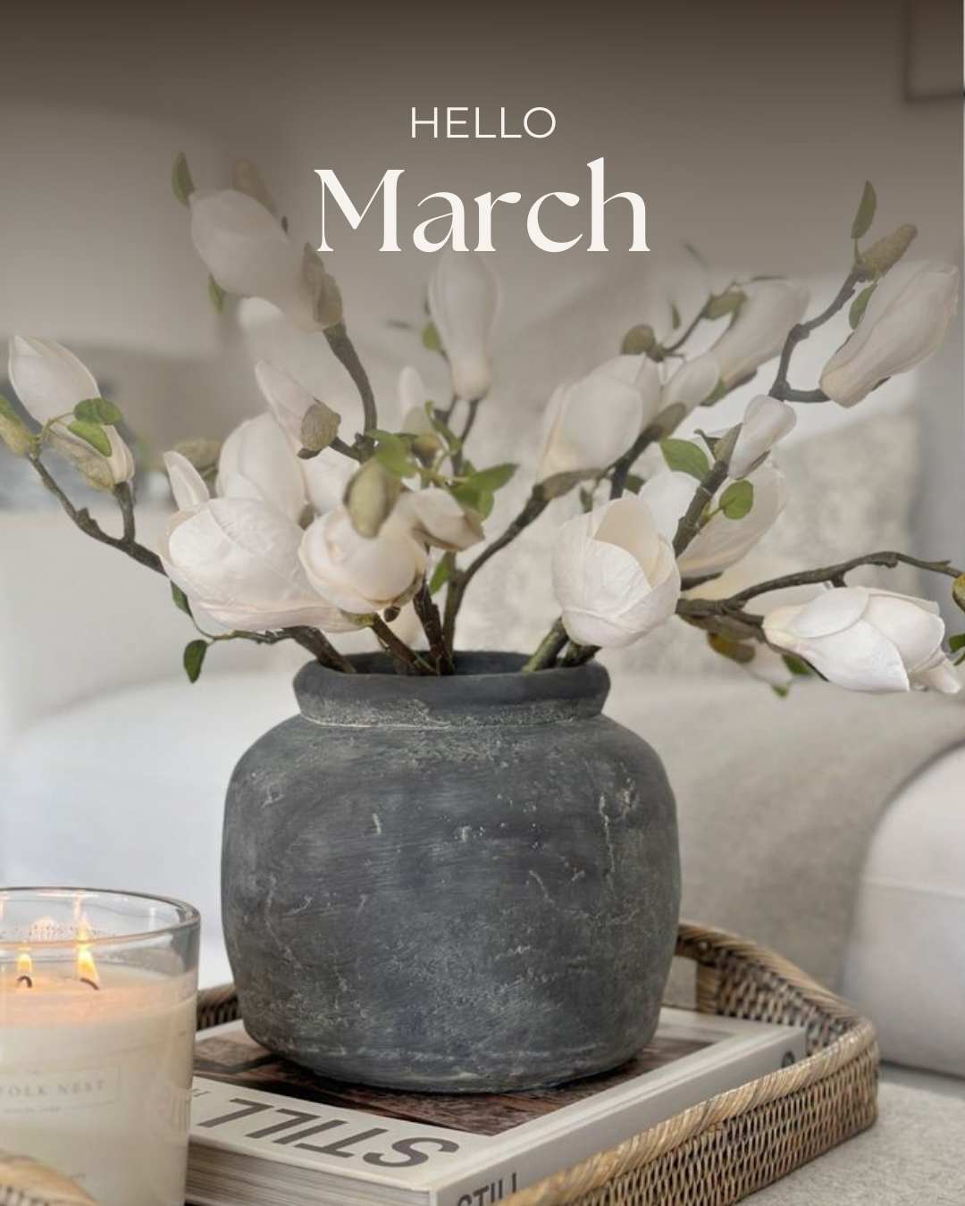 Hello March! This month is all about planning ahead and setting yourself up before the spring market gains momentum. Whether you’re buying, refinancing, or reviewing your mortgage, now is the time to move with clarity and confidence.

#CanadianBroker