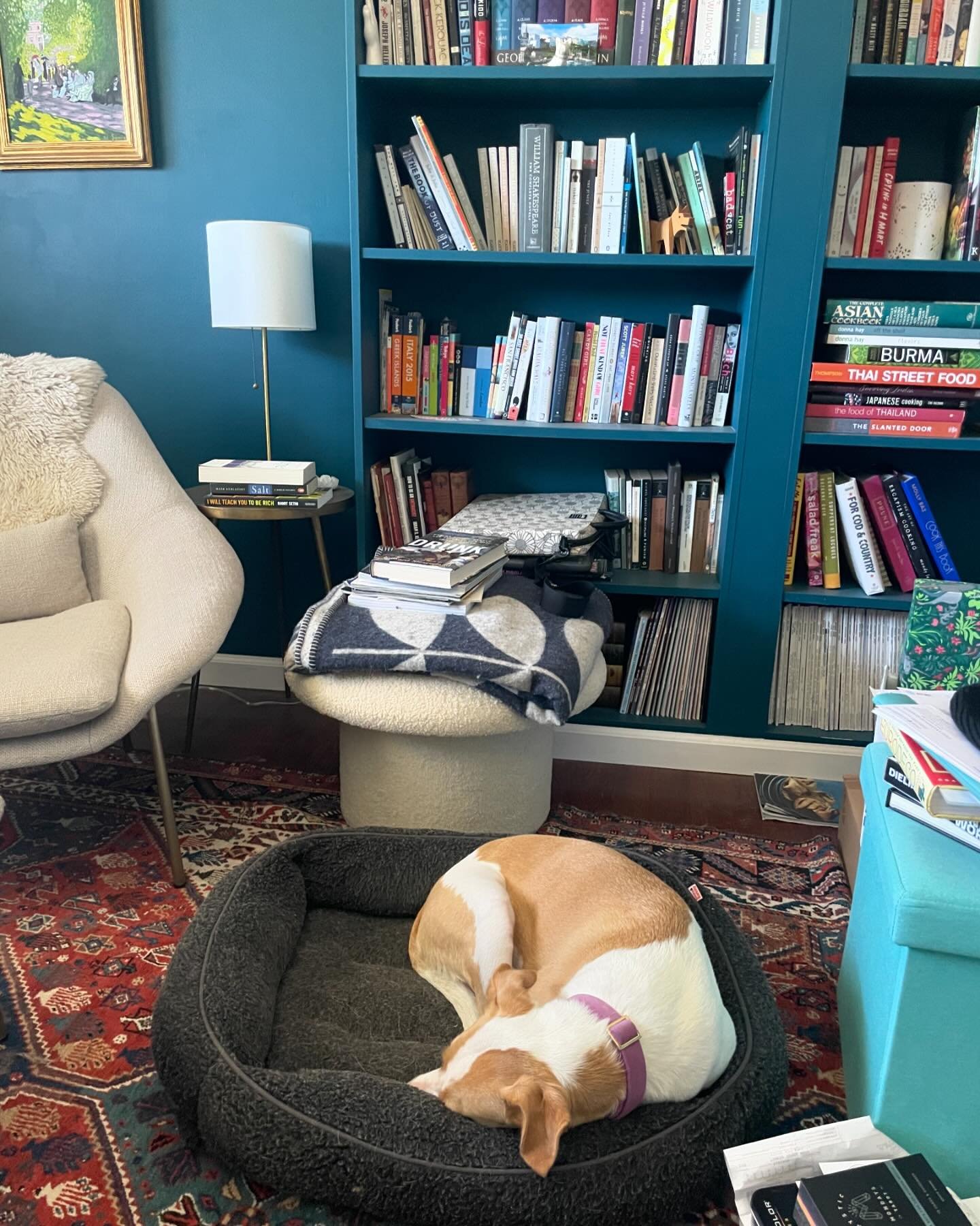 Happy Friday! Lil&rsquo; peek into what I sit behind at Radish Studio&hellip; 🐶💤

#foodanddesign #designforfood #foodanddesign #foodbusiness #foodbusinessstartup #fooddesign #brandingforfood #foodbranding #foodpreneur #radishstudio #branddevelopmen