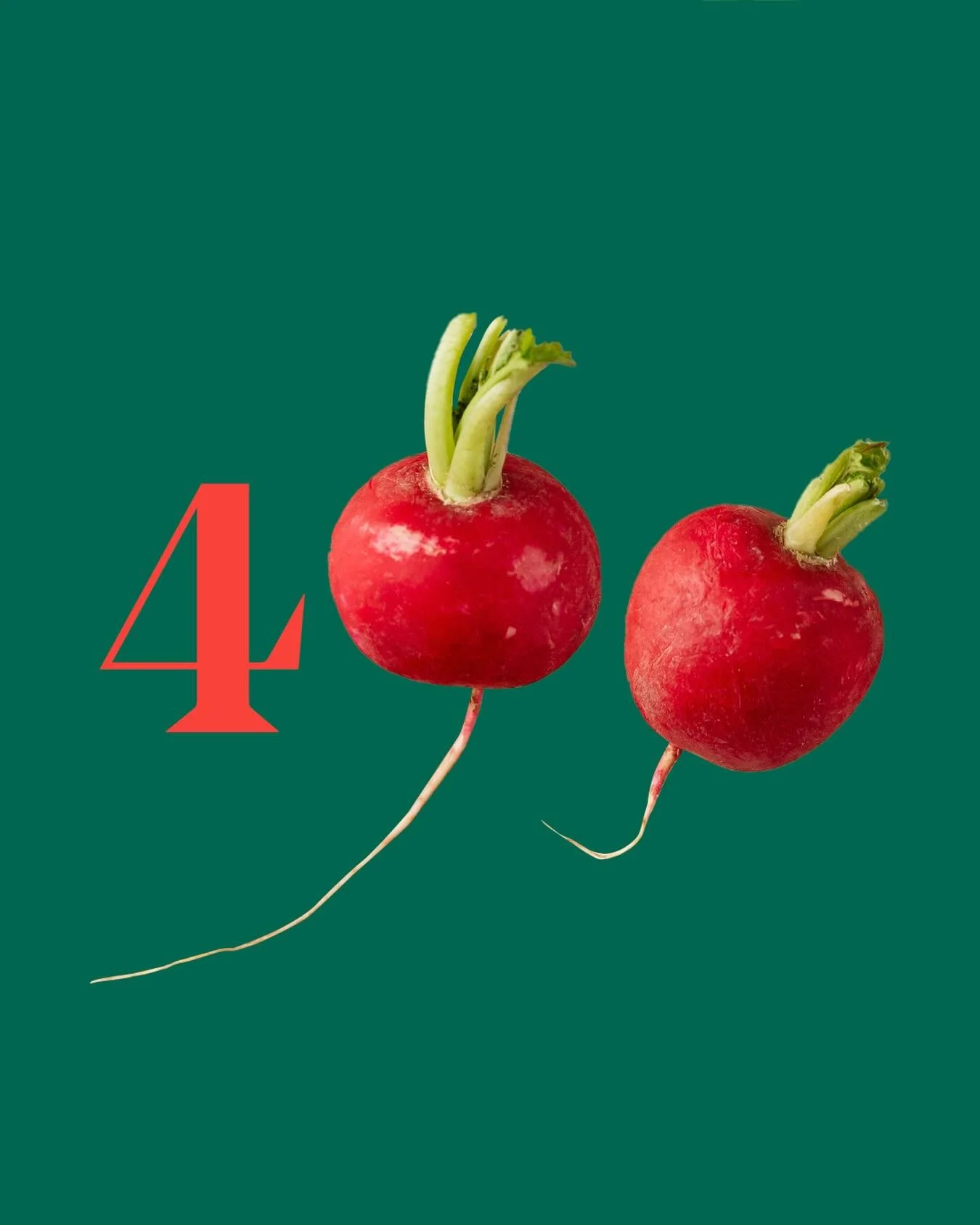 Whee! This is what can happen if you follow your dreams, abandon your post for a year then scramble to pick it back up. Follow those dreams people! #400followers