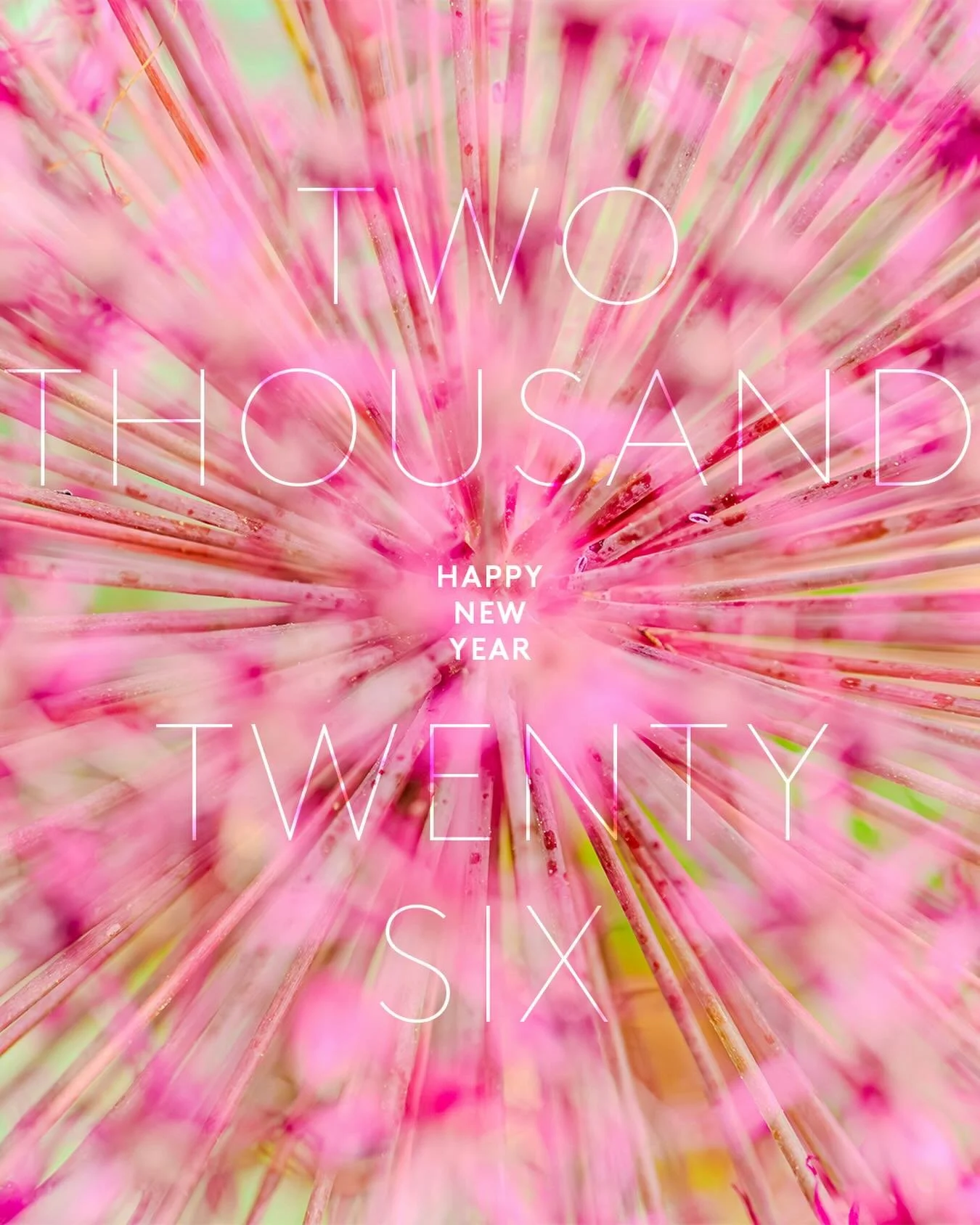 The new new is here here ✨