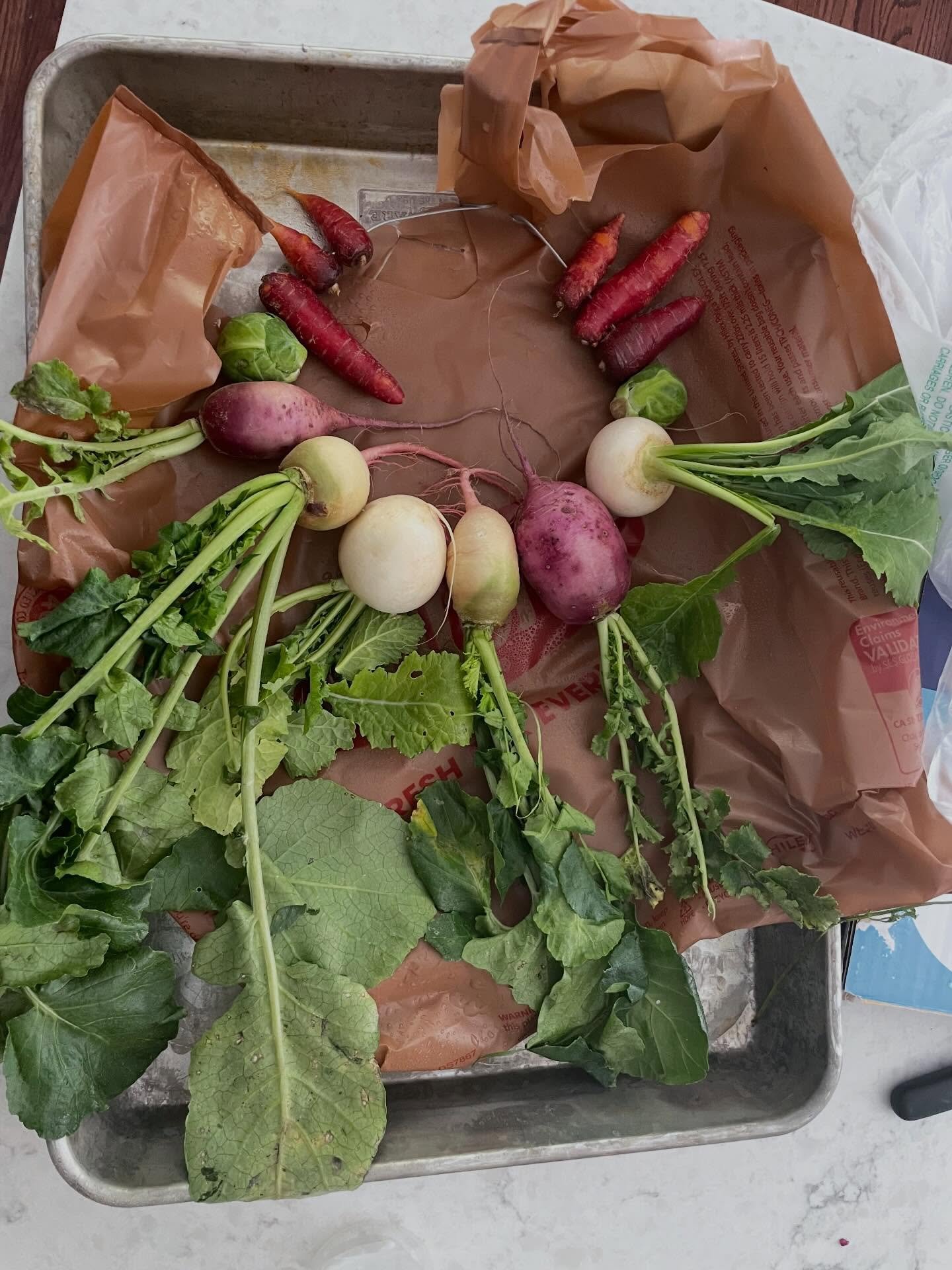 That time when I made a radish-veg necklace for my Radish photoshoot ✨

🫜🌱🥕