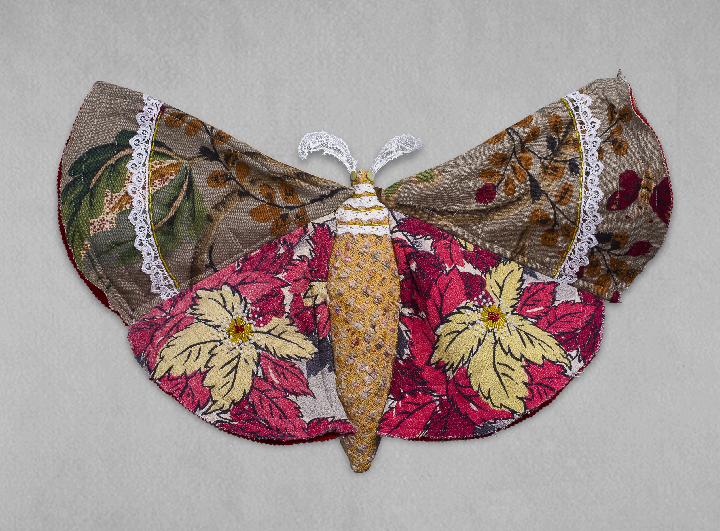 Our House Moth