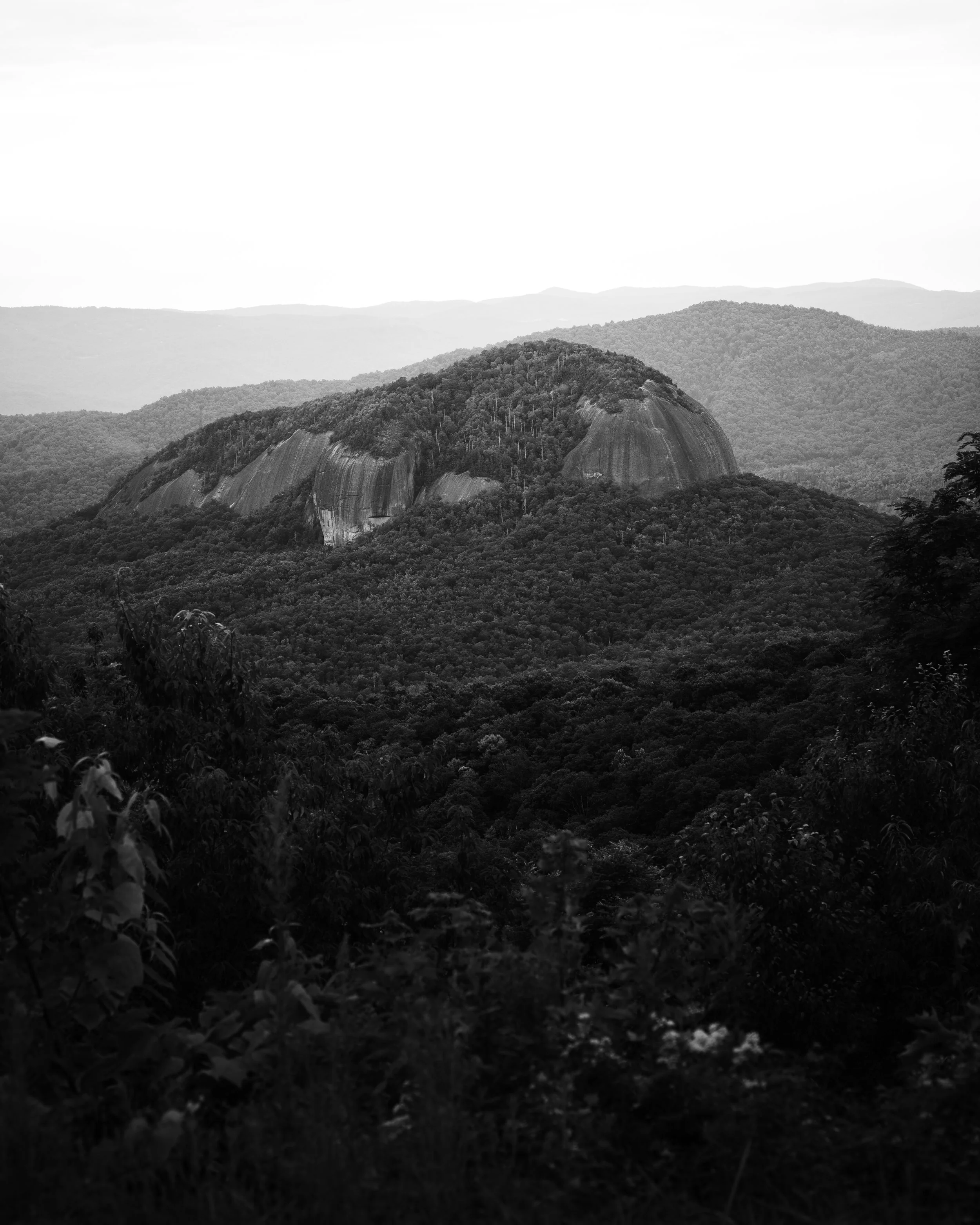 RNR_6469.jpg