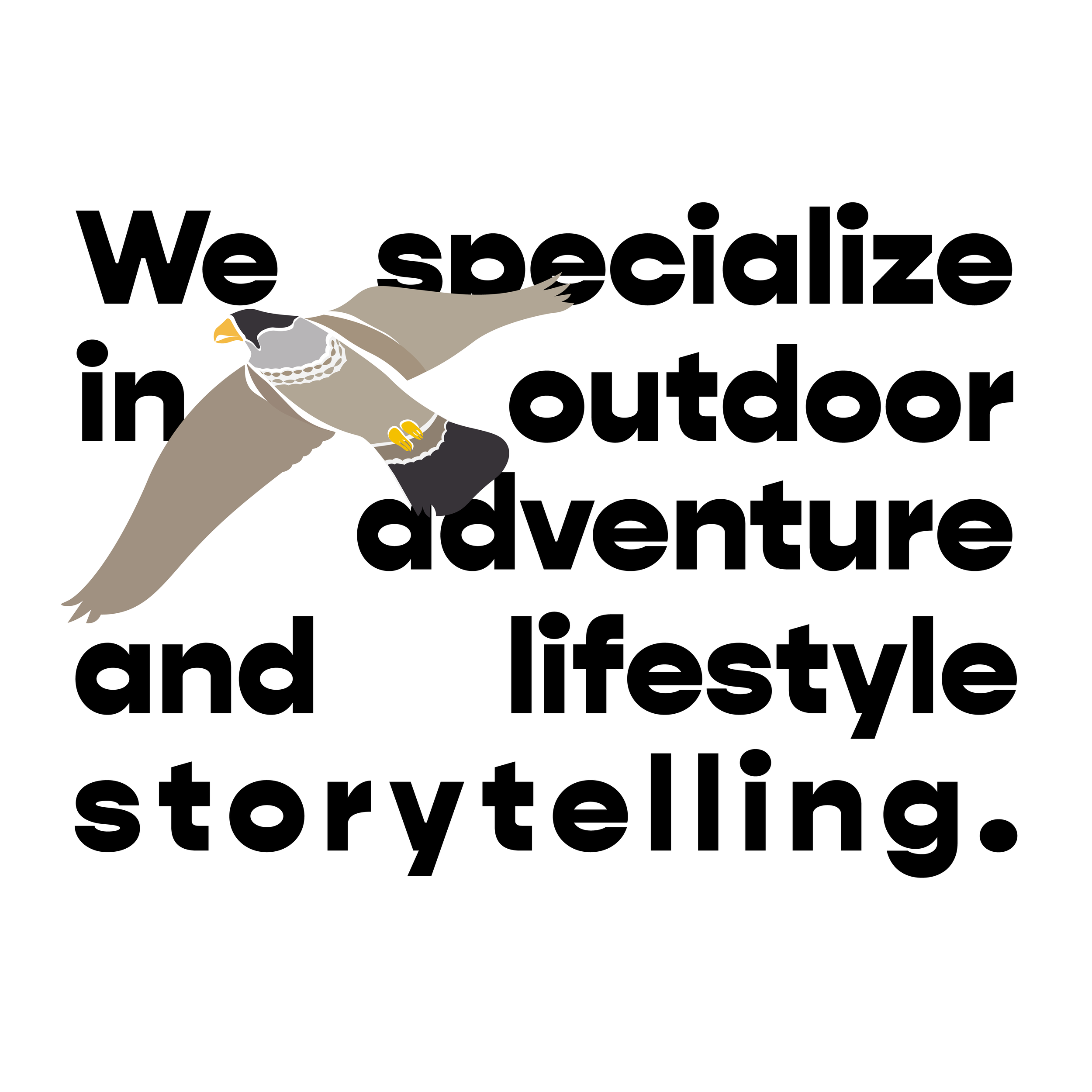 Peregrine Falcon.png