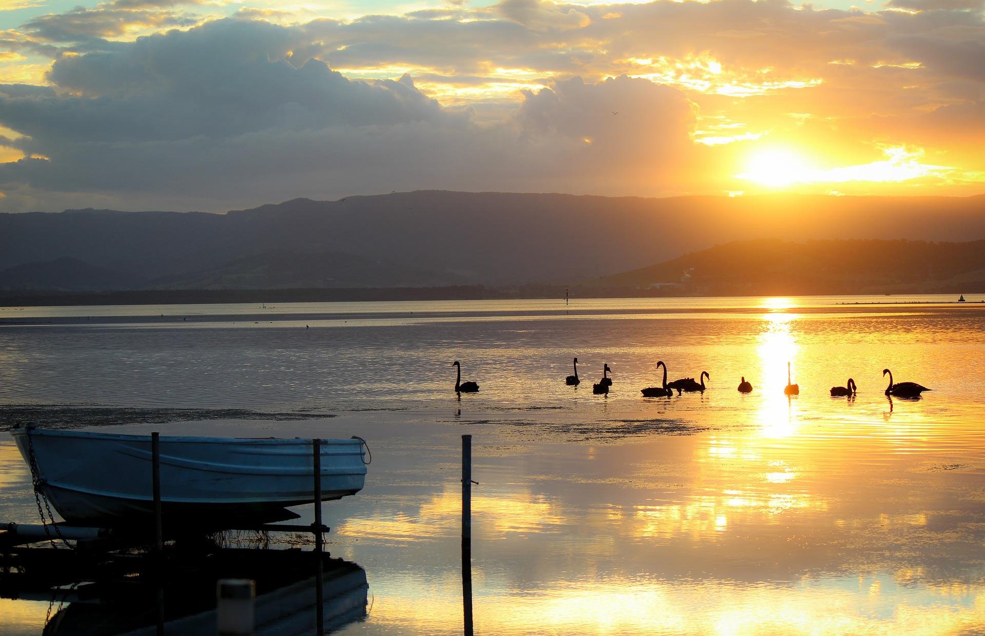Wollonging, sunset over water