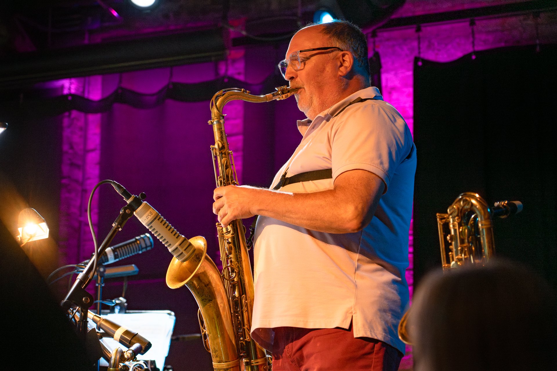 Bad Sneakers Orchestra (Steely Dan Cover Band)