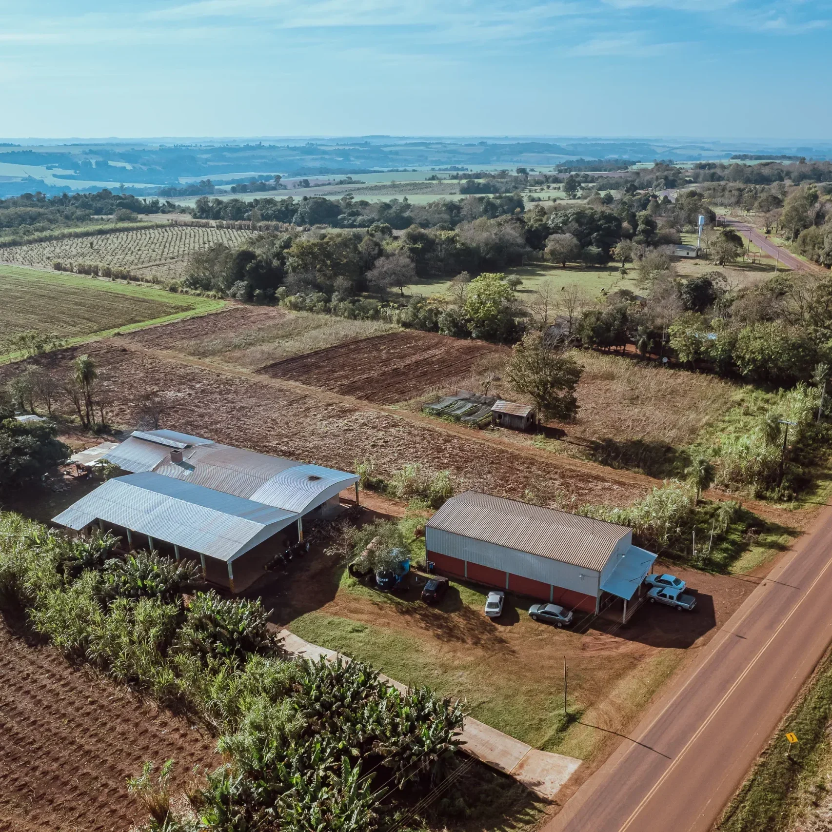 industrial processing plant for harvesting yerba mate in paraguay