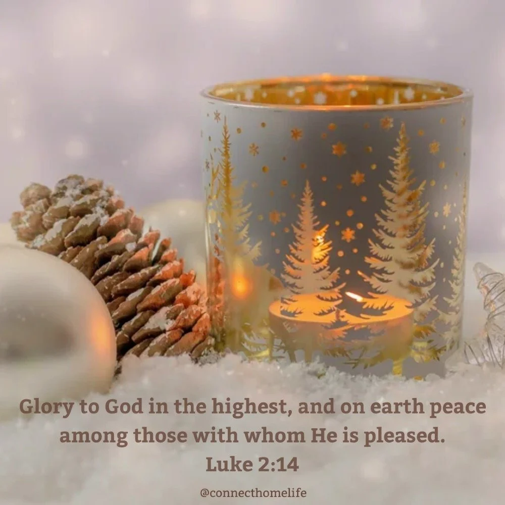 The empty nest can feel quiet, but it doesn't have to feel empty. Peace grows when we see the silence as sacred space - where the Prince of Peace meets us in a new way. 

 Join us at: https://f.mtr.cool/xndxdmrgep

#AdventPeace #EmptyNestPeace #Princ