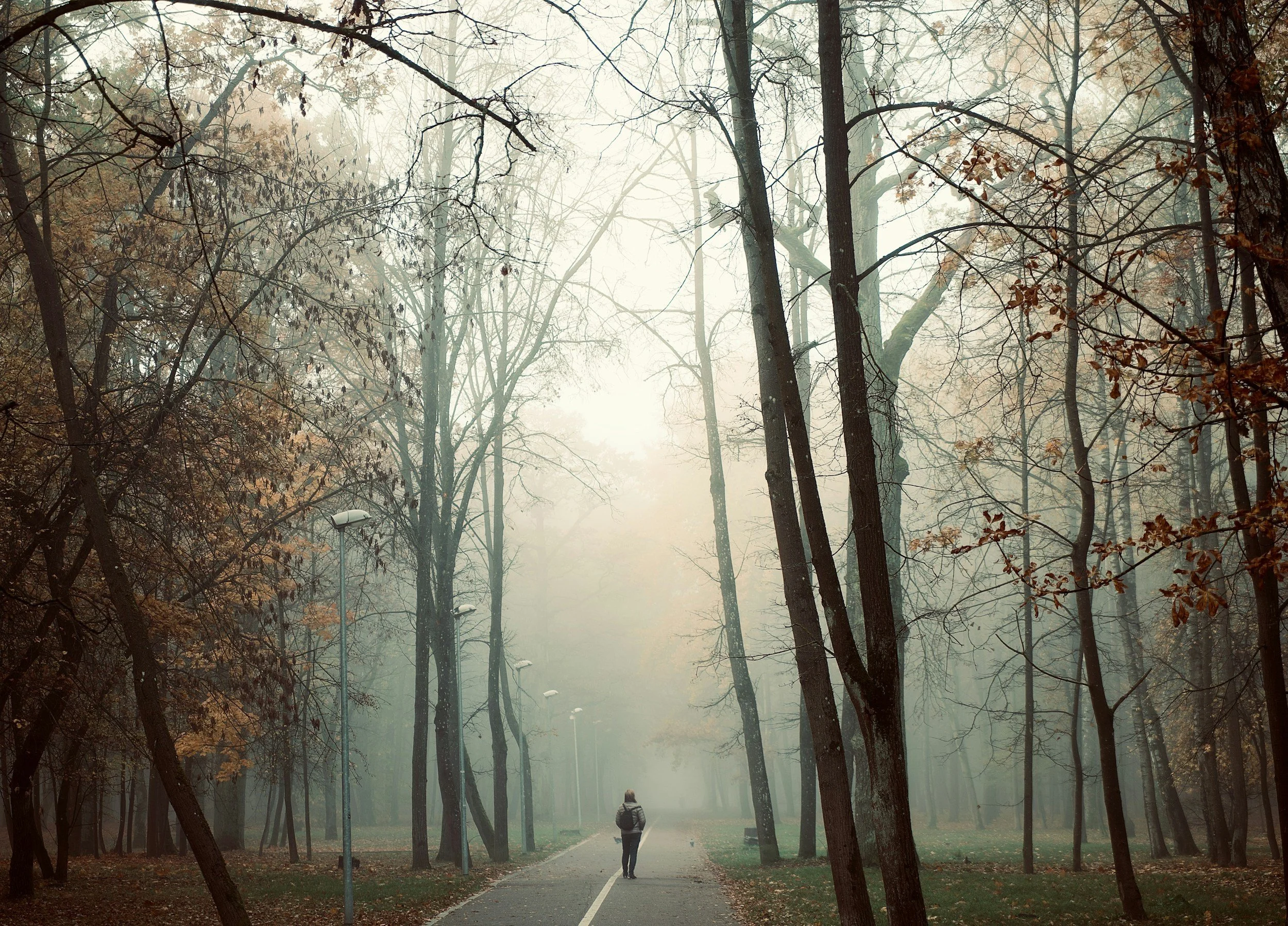 Person walking alone on a quiet tree-lined path in soft foggy light