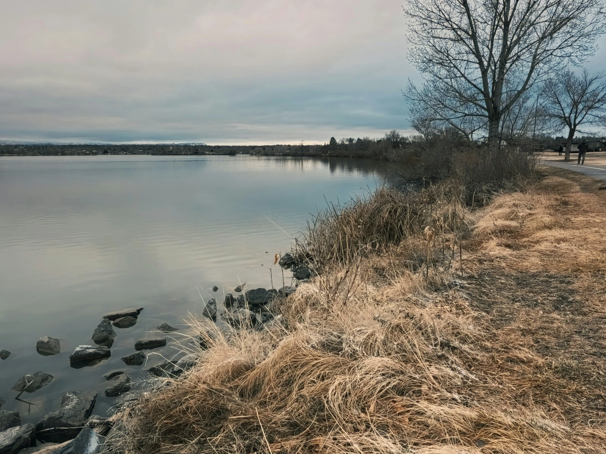 Quiet shoreline with tall grass and calm water, symbolizing trust, peace, and releasing the need to control every outcome.