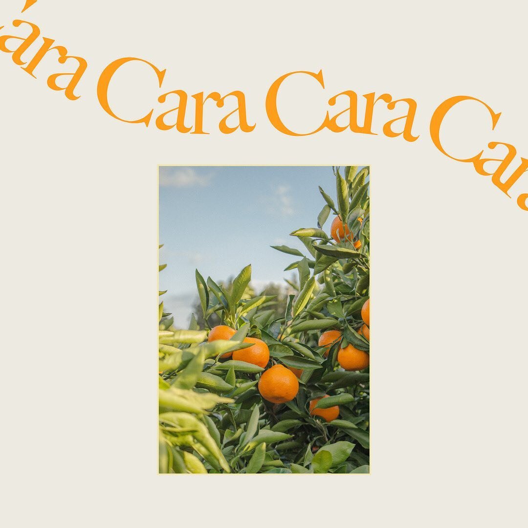 #CaraCaraLA is named after the bright, sunshiny orange variety that has an incredibly sweet taste and unique pink color 🍊 Our Co-Founders Sarah &amp; Alison both have a long-standing affinity for oranges&mdash;Alison grew up in Florida from a long l