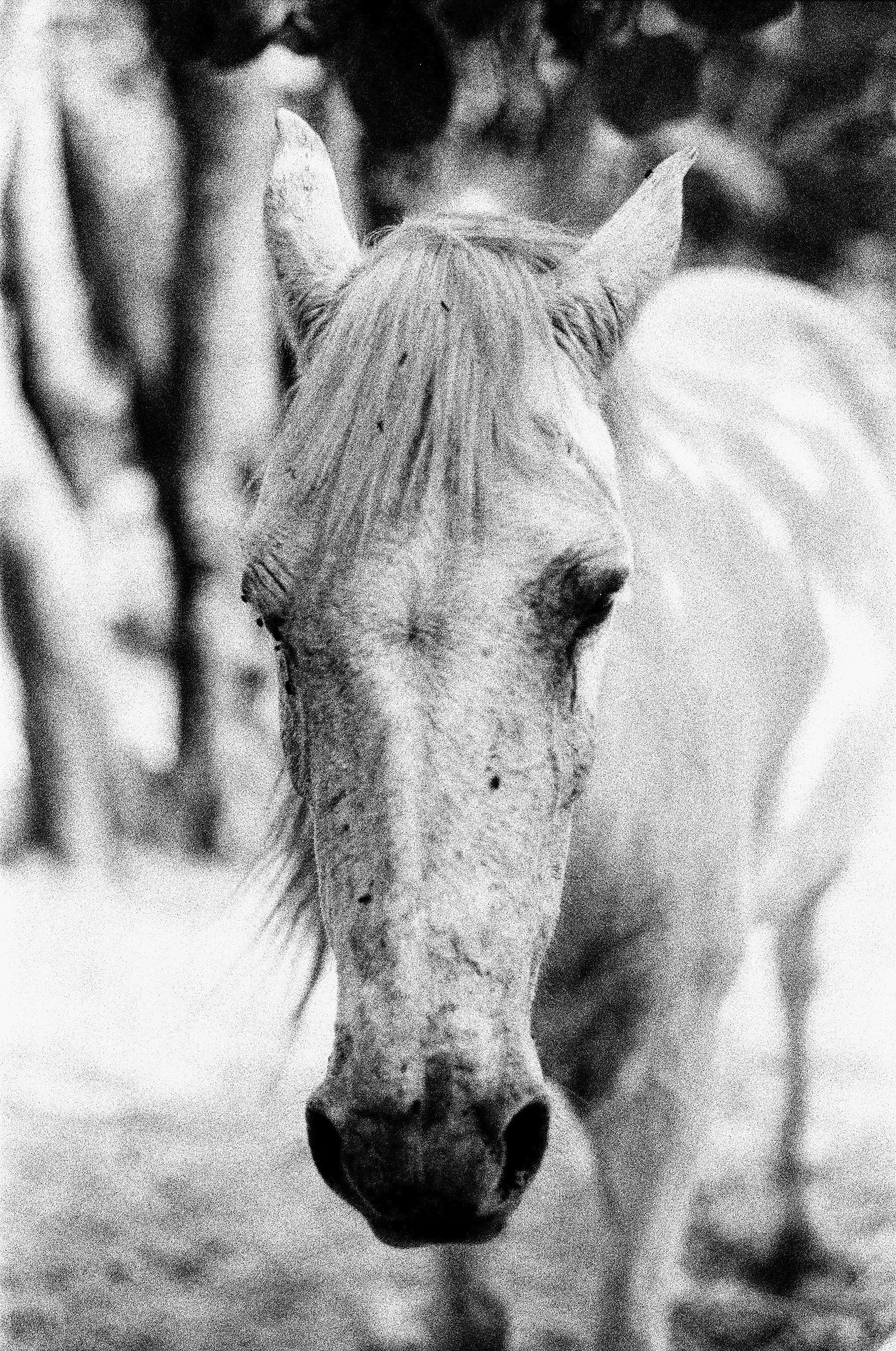 nik-a-V-3r7-bf6-4-unsplash.jpg
