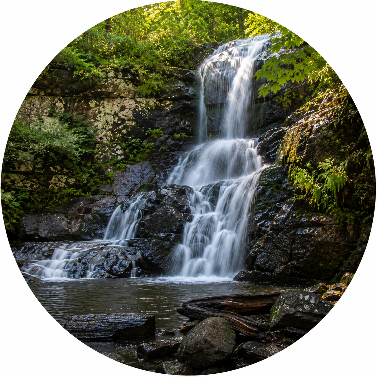 A waterfall cascading through a lush green forest, flowing over moss-covered rocks into a clear pool below.