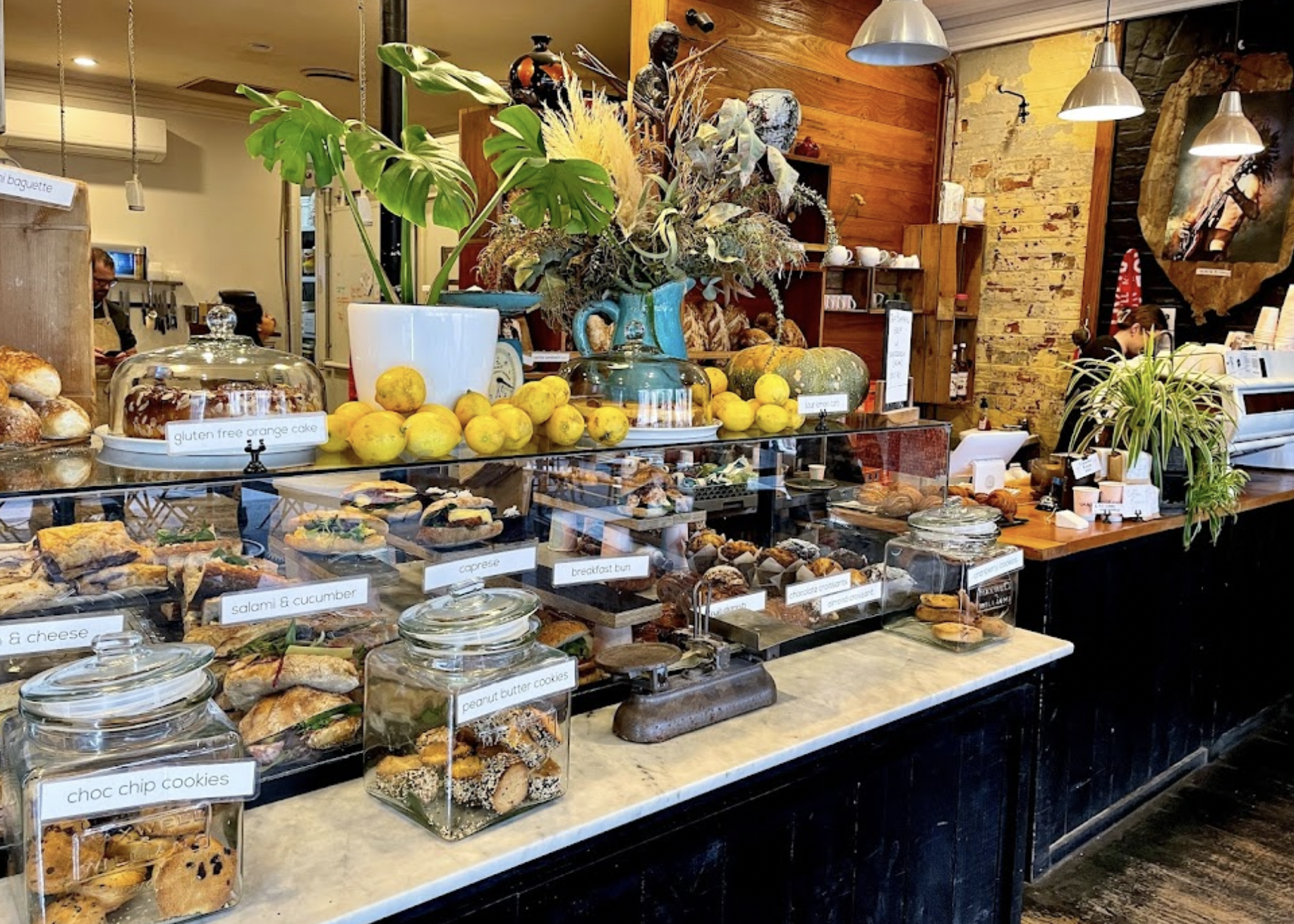 Screen Shot 2022-09-26 at 12.07.44 PM.png