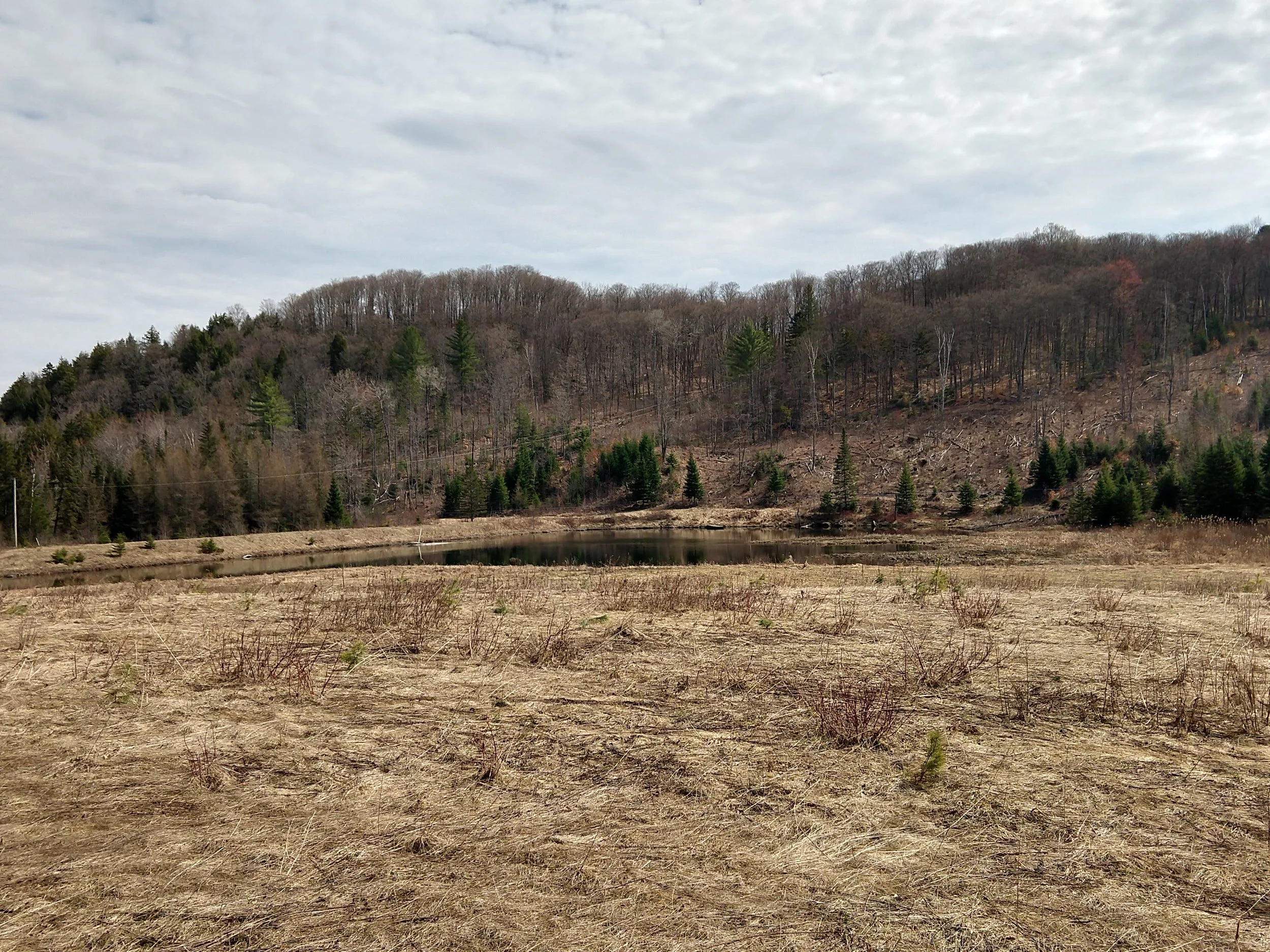 IMG_20230421_102532832_HDR.jpg