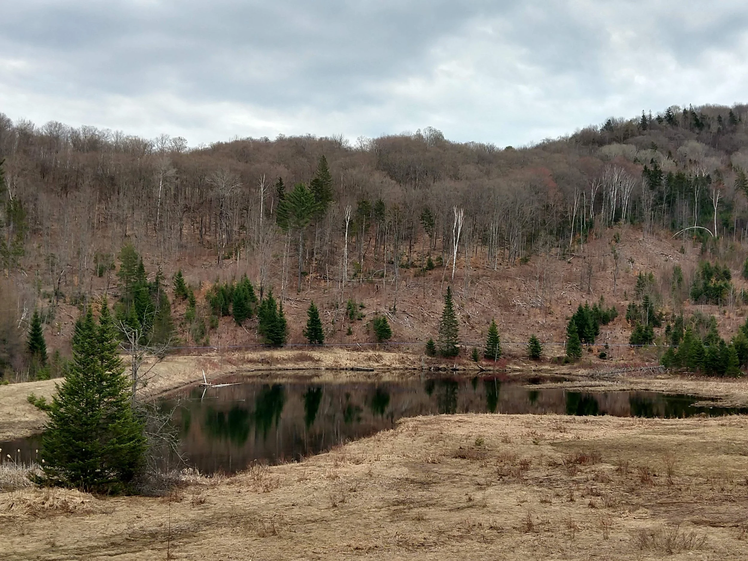 IMG_20230421_095732654_HDR.jpg