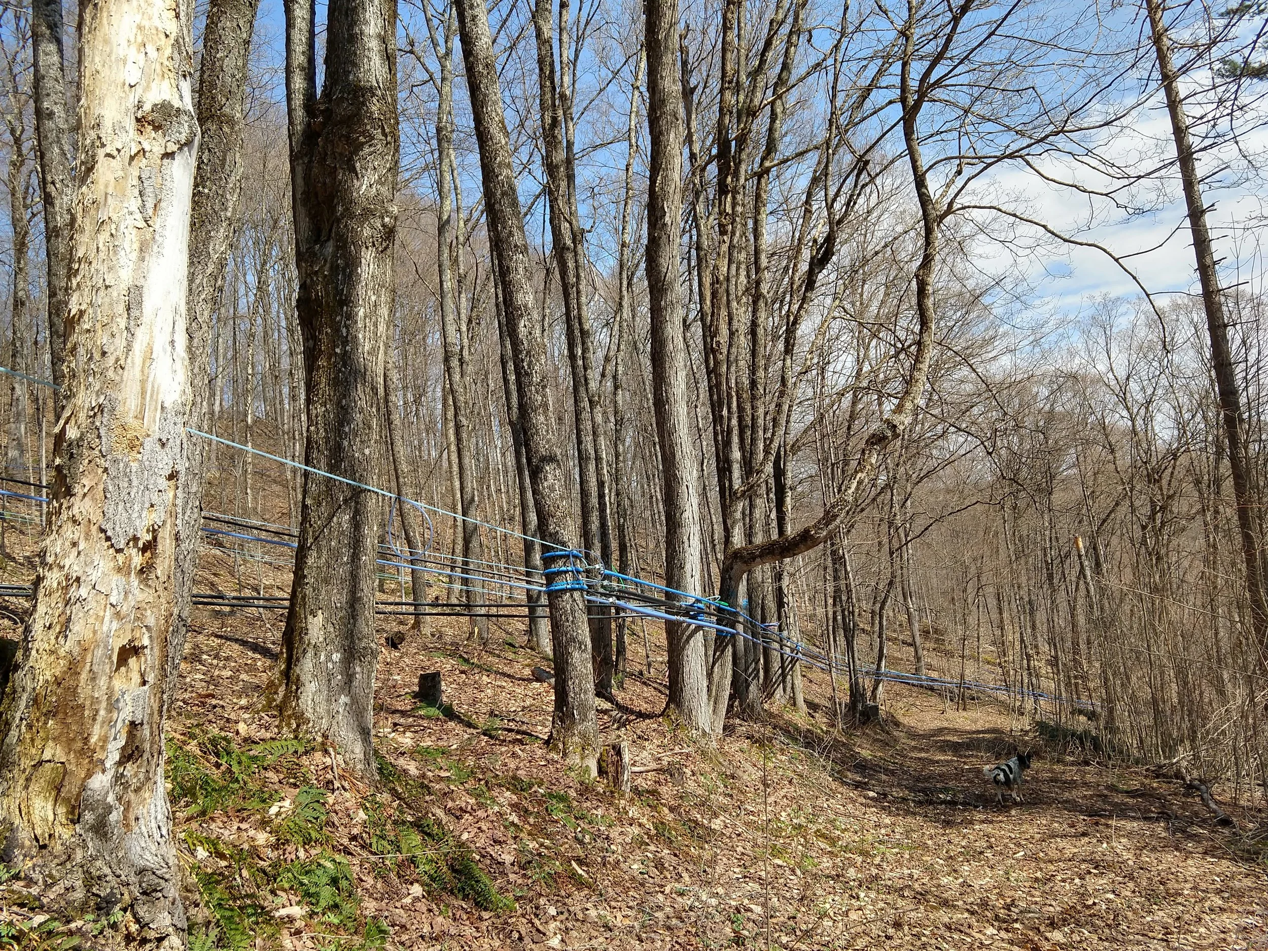 IMG_20230421_103423798_HDR.jpg