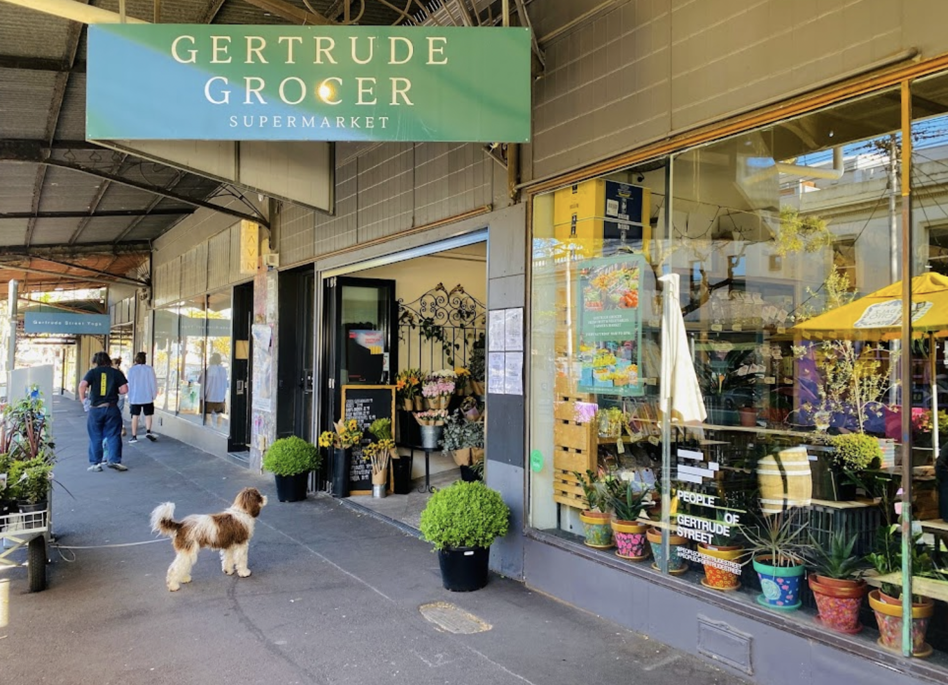 Screen Shot 2022-09-26 at 12.26.50 PM.png