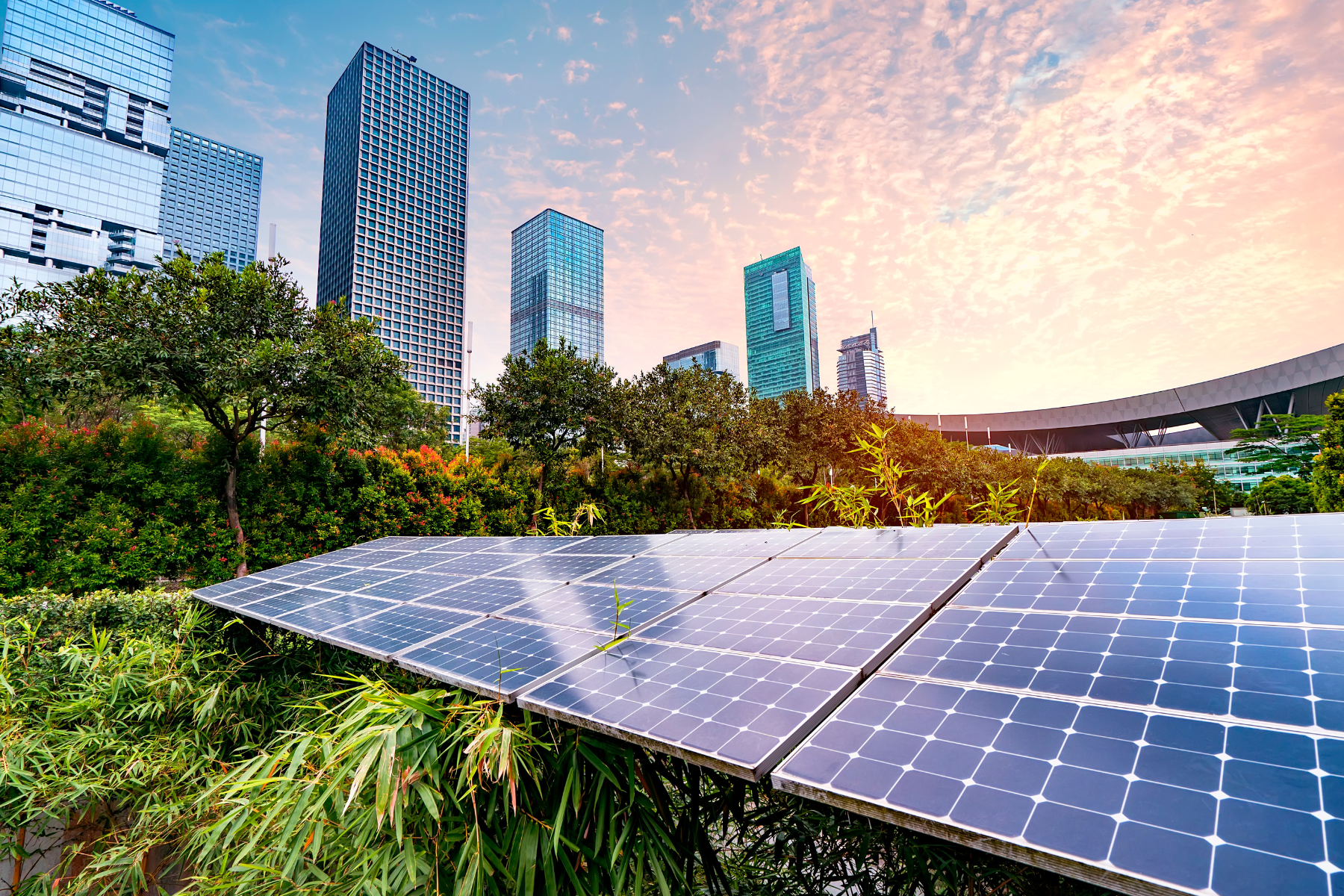 Solar panels in a green urban environment with tall buildings and a pink-orange sunset sky in the background.