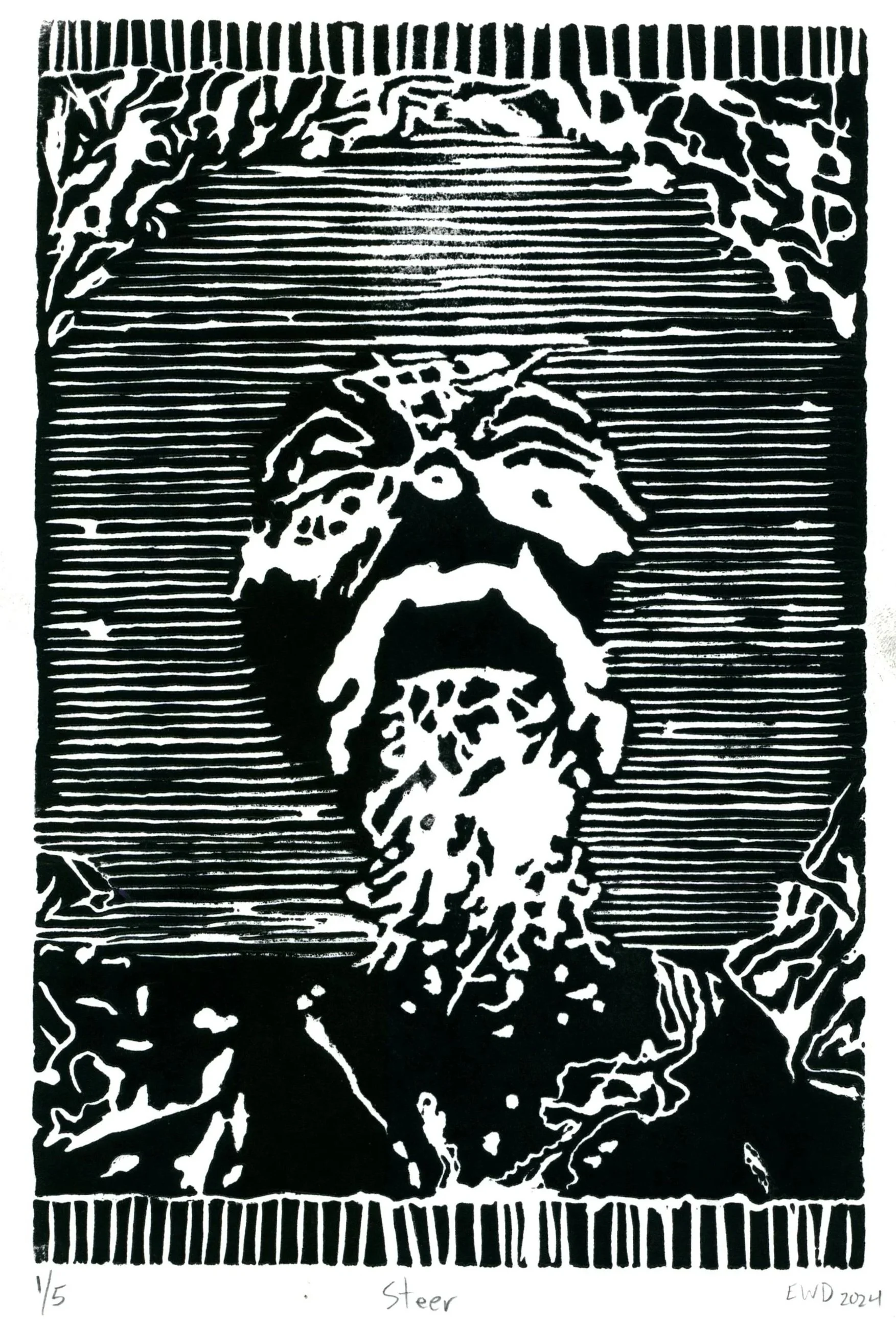 steer1.jpg