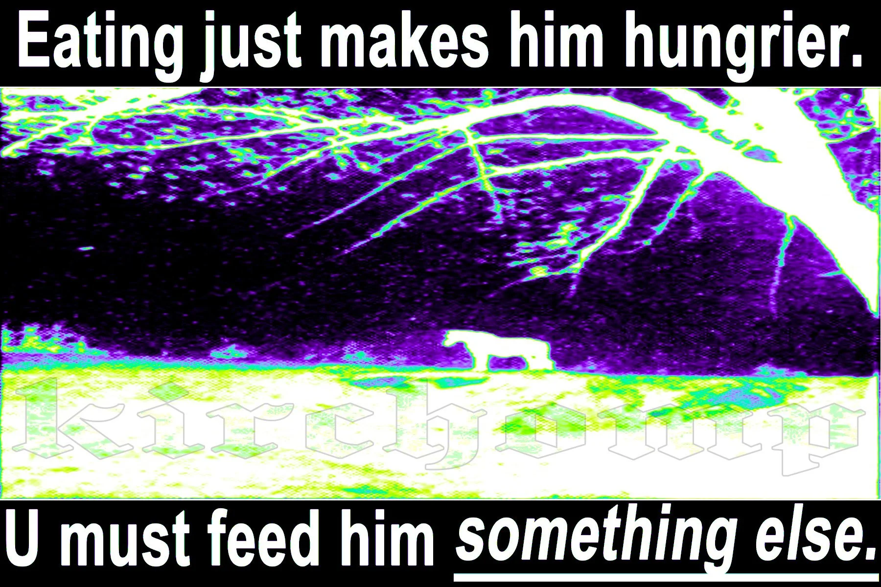 hungriey.jpg