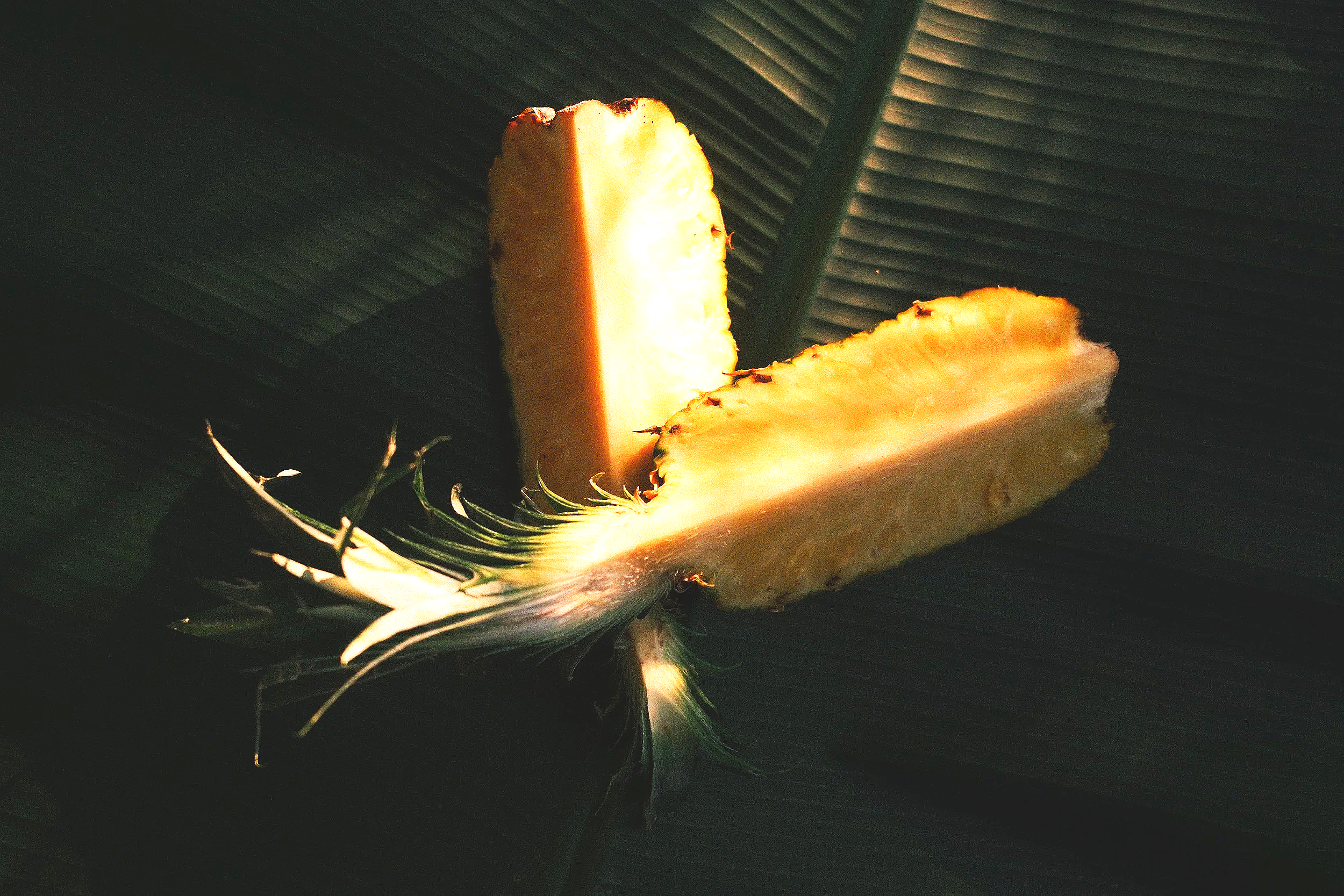Two slices of pineapple on a dark surface, with the light shining from behind, casting shadows.