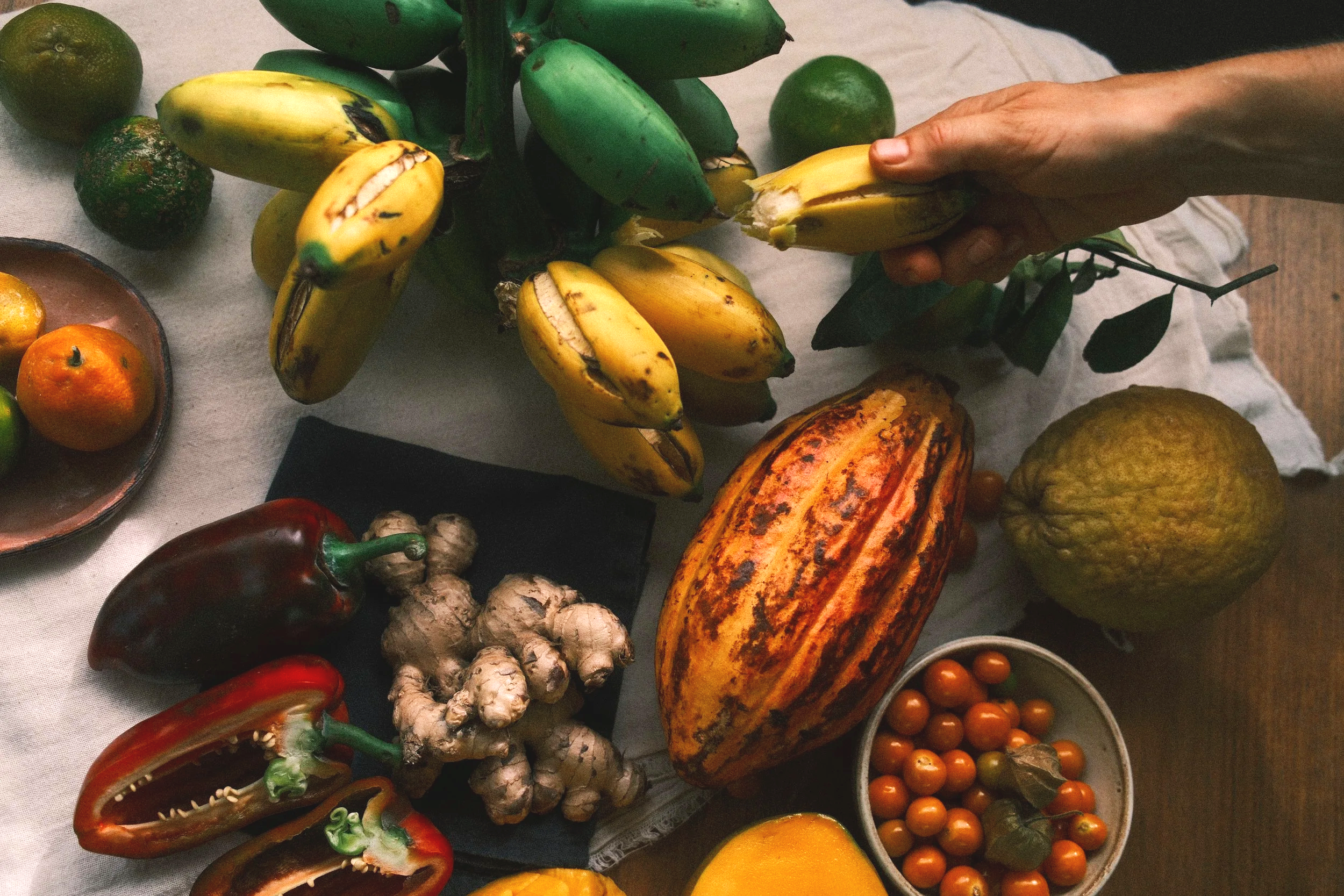 A variety of fresh fruits and vegetables on a table, including bananas being held, ginger, peppers, tomatoes, citrus fruits, and a squash.